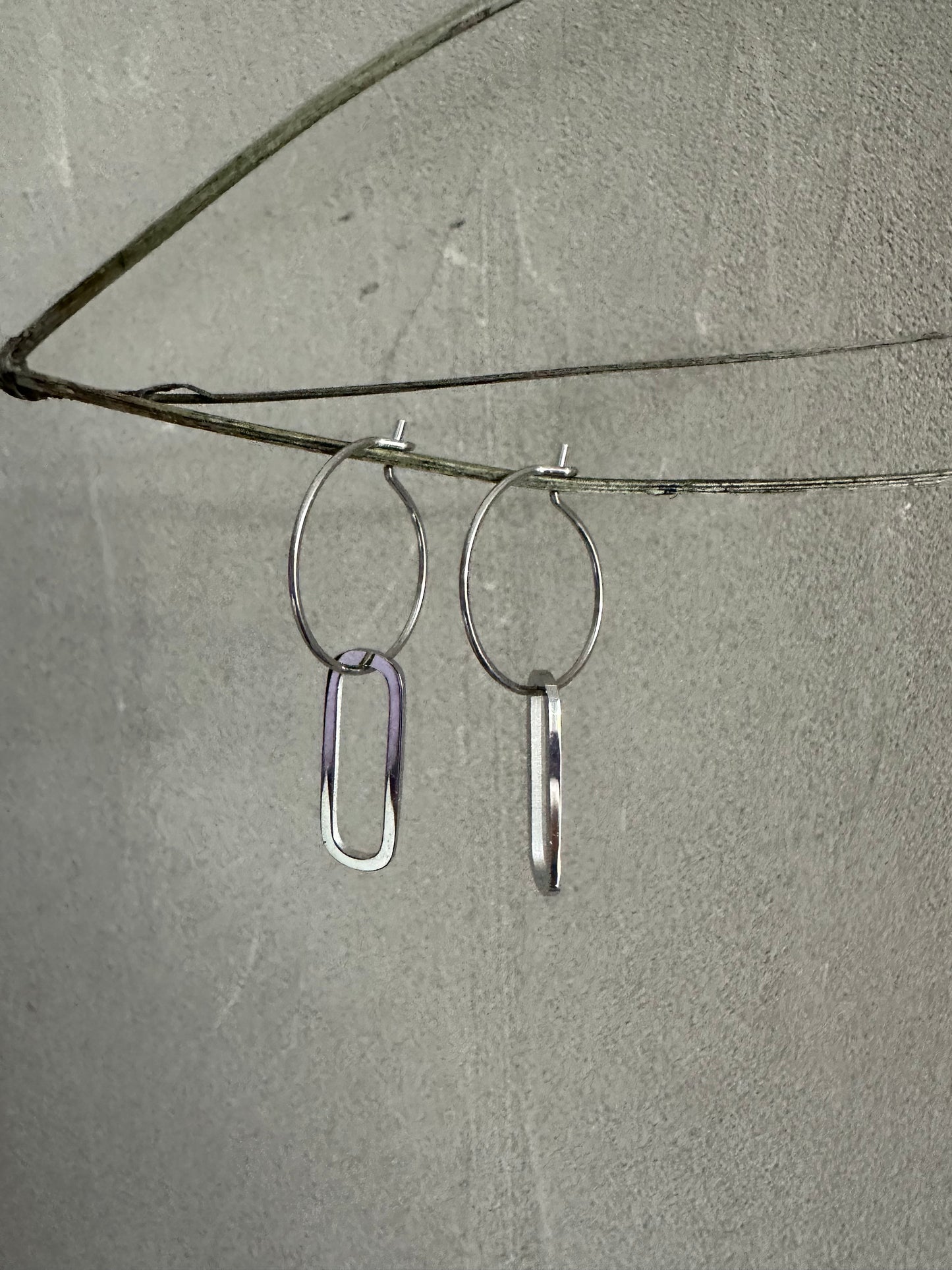 Earrings -Leo