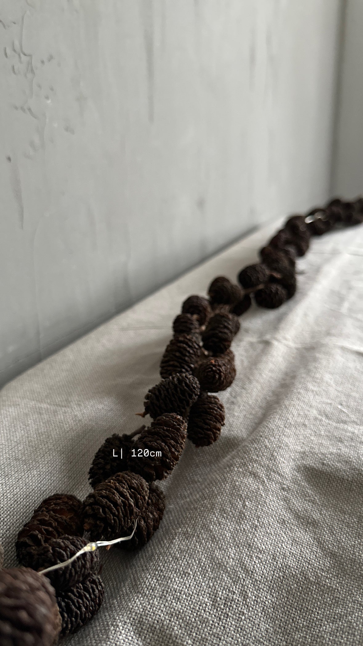 g a r l a n d. chocolate |Zapfen