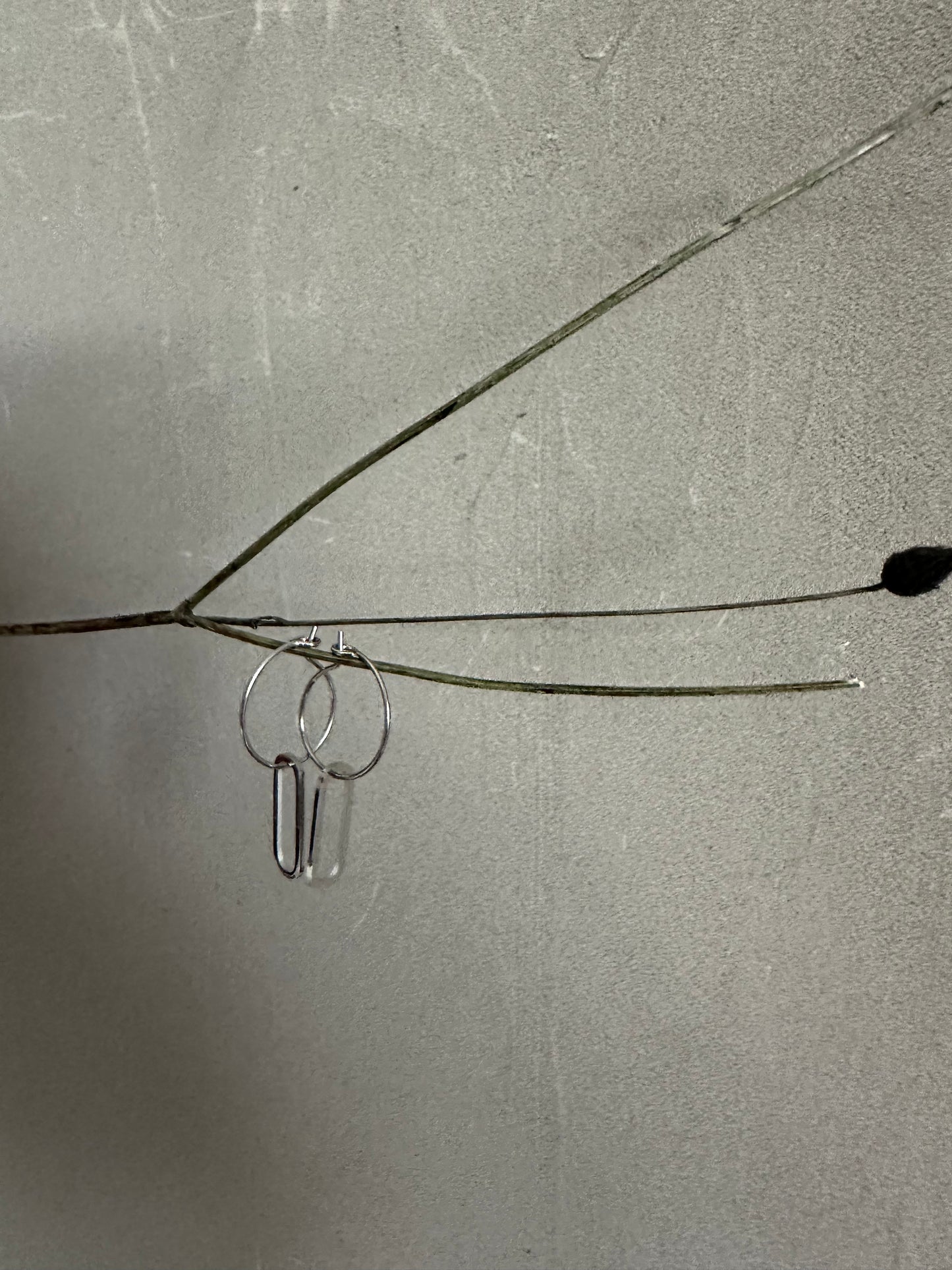 Earrings -Leo