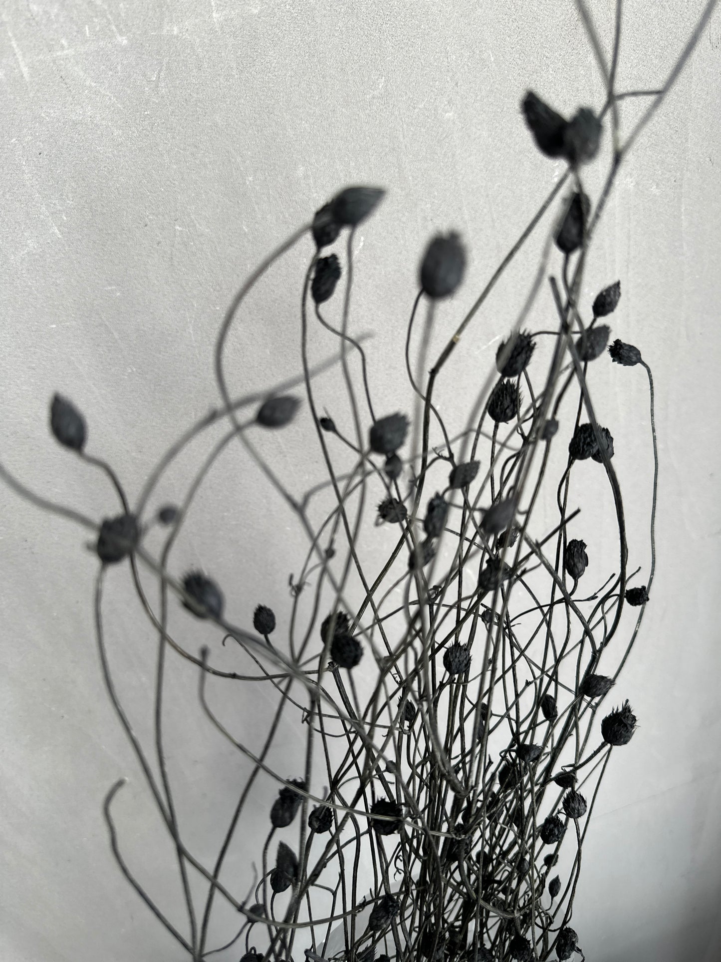 happy flowers