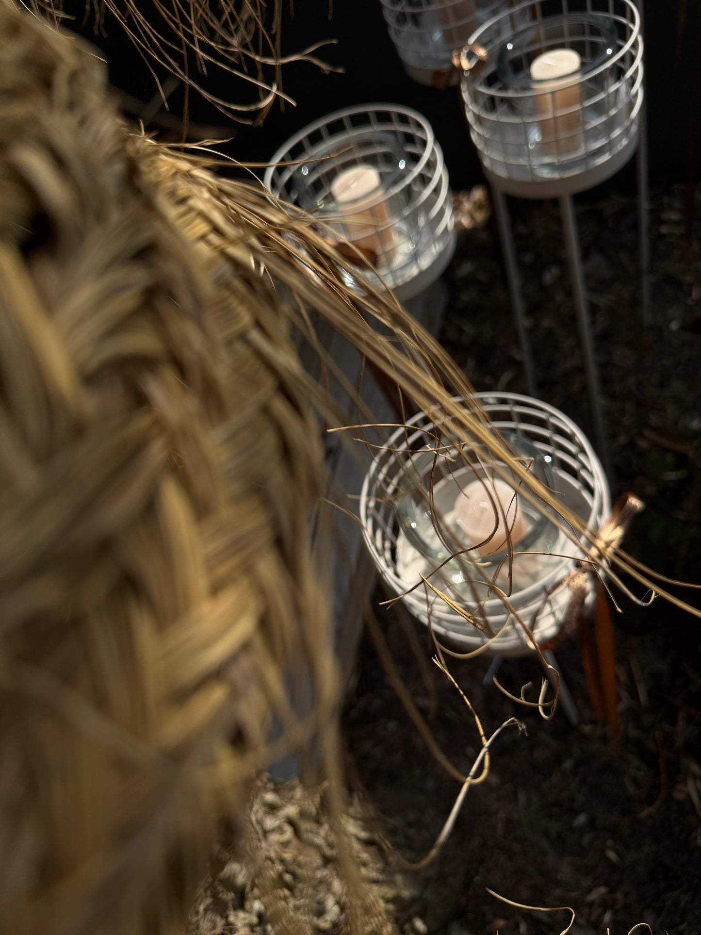 l e o.   outside | light