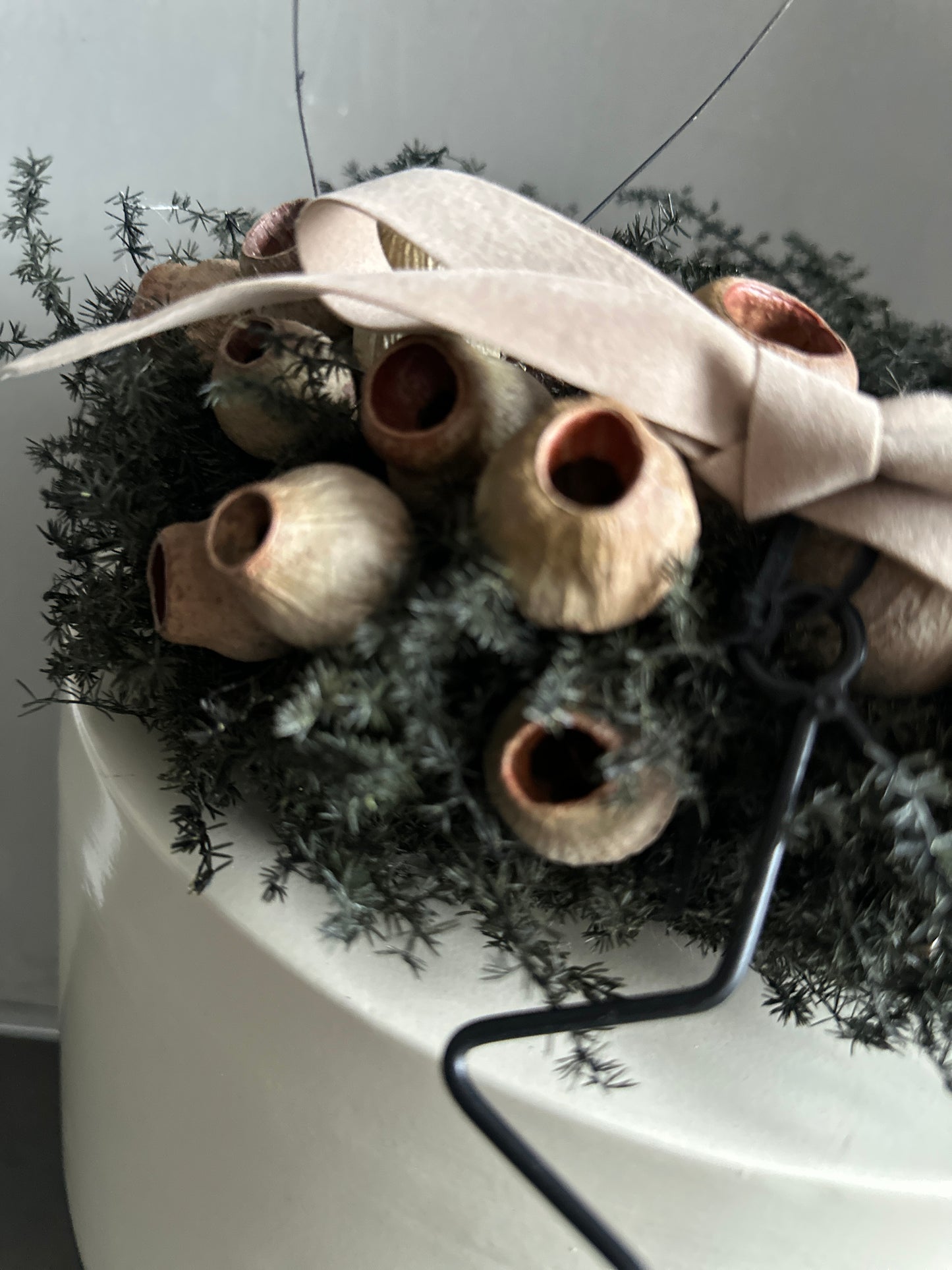 Kranz.  s h a d e s.