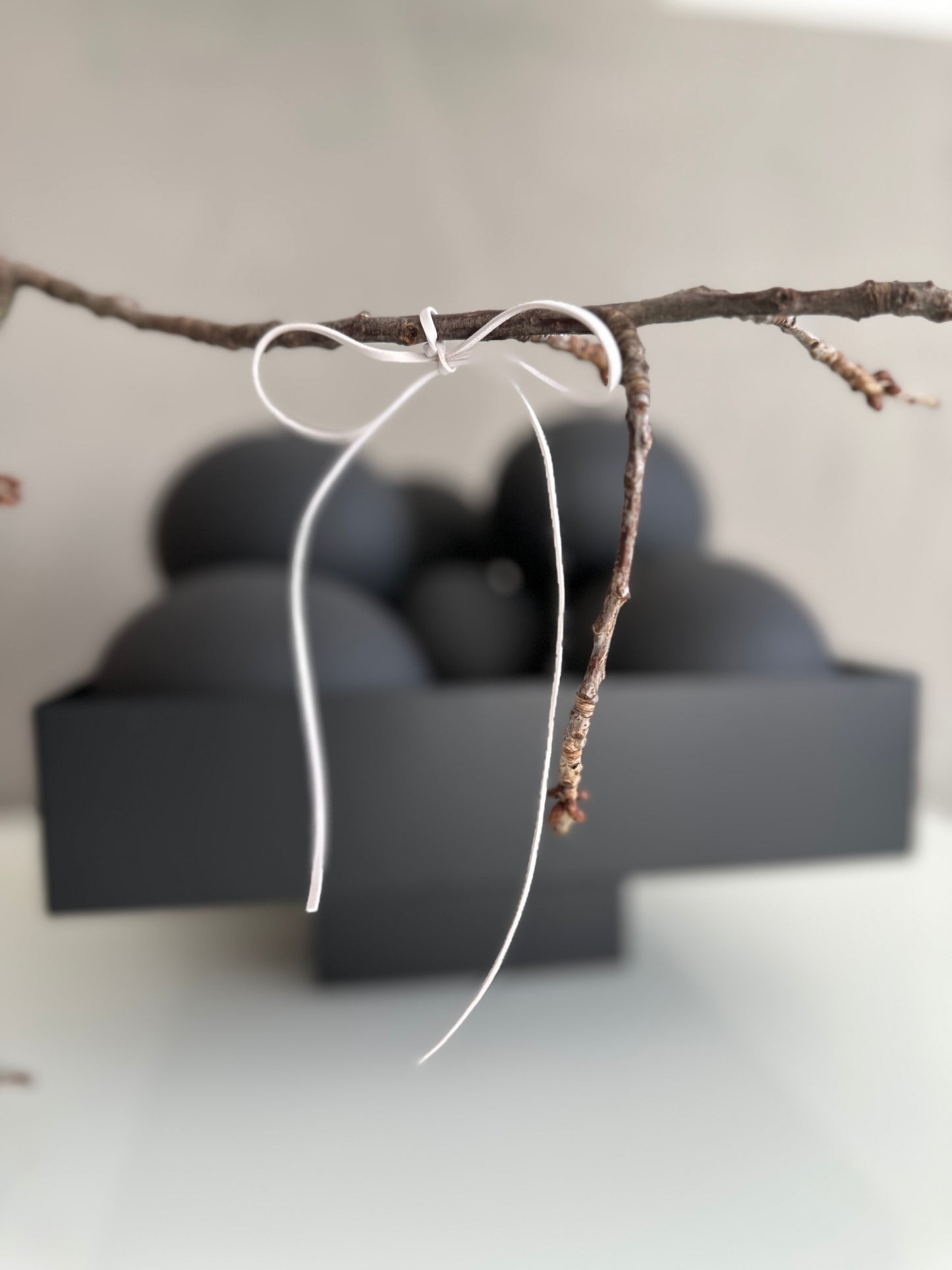 Straussenei -schwarz/matt echt