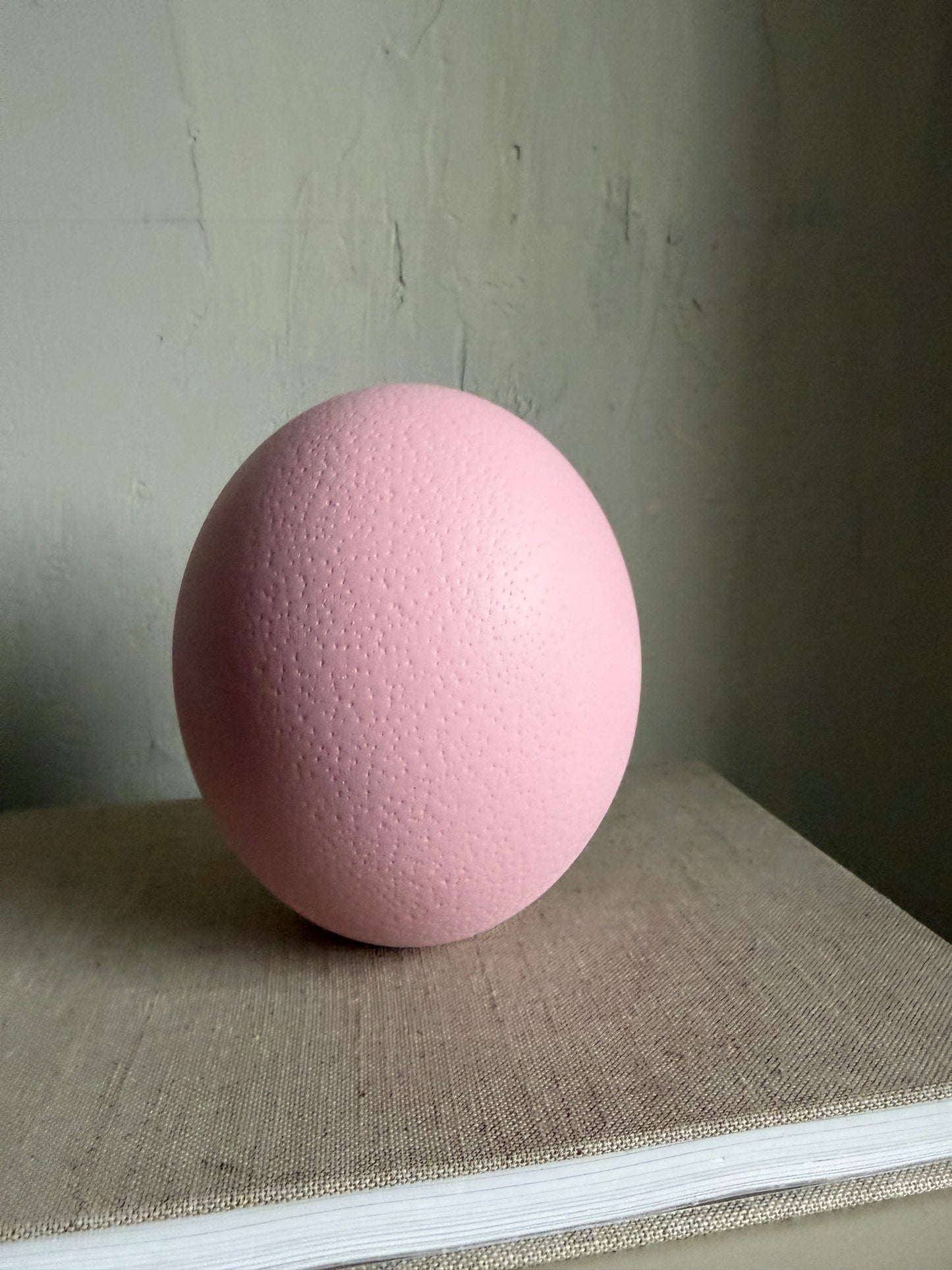 r o s a - Straussenei