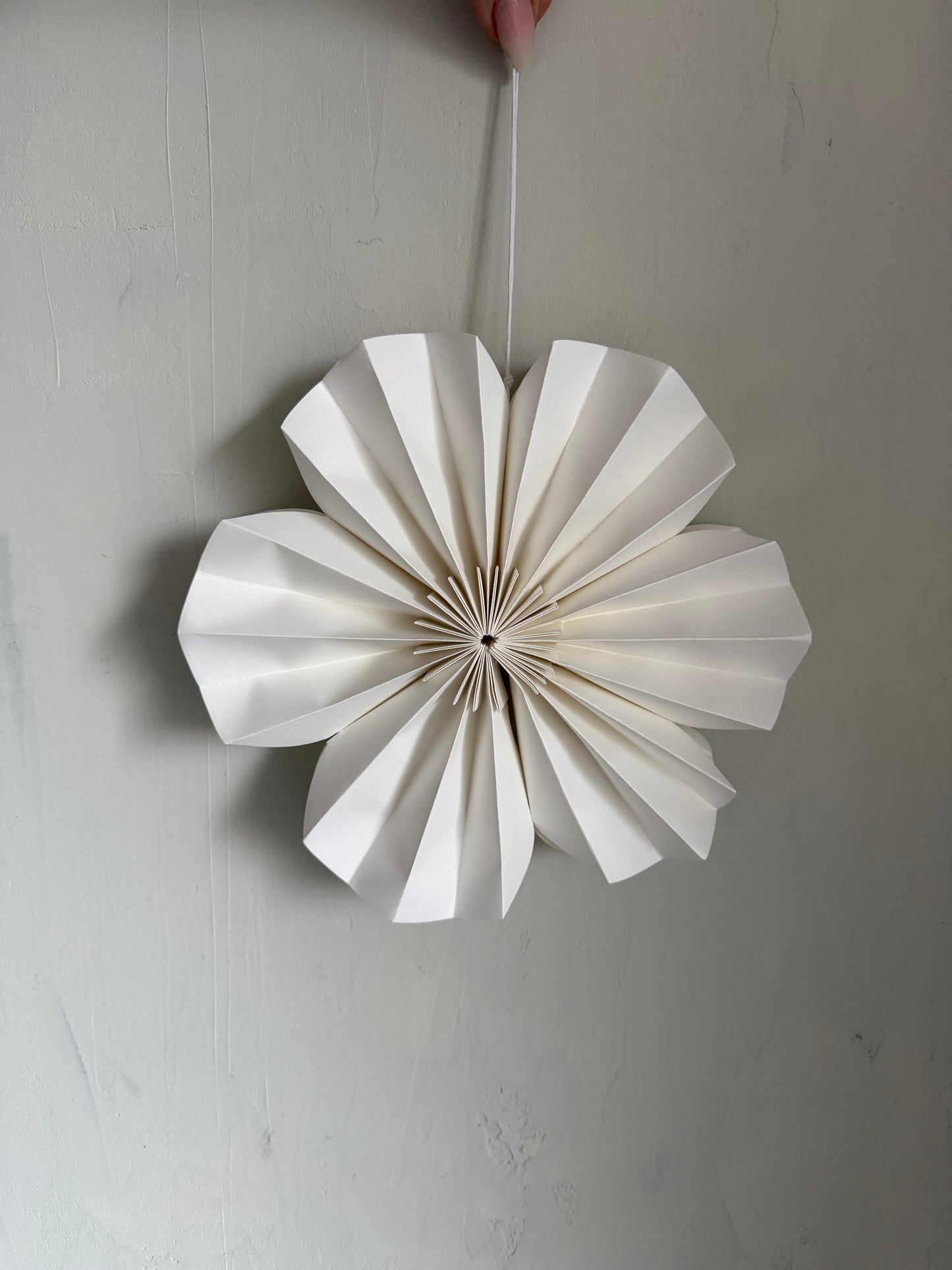p a p e r | Blume