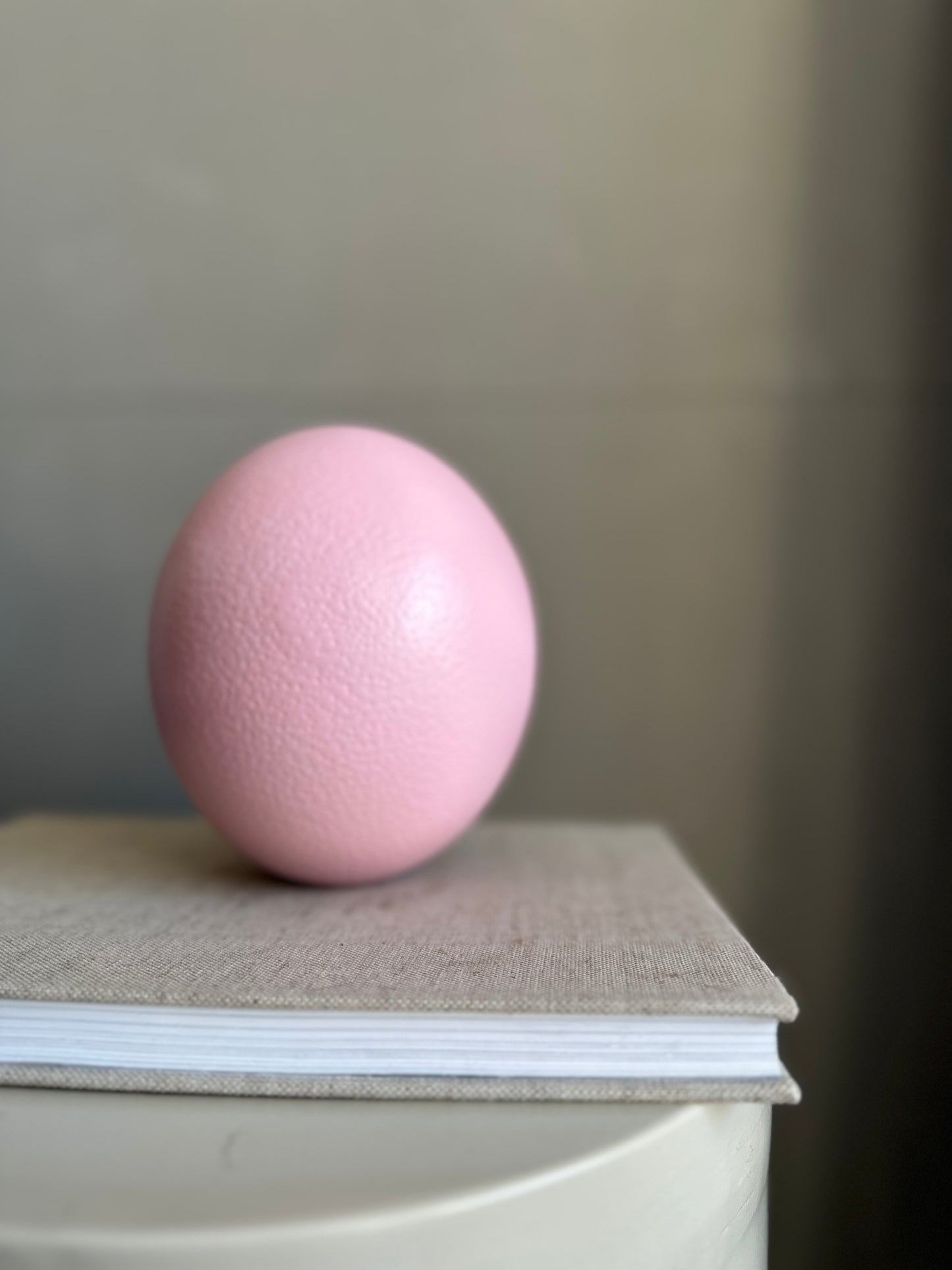 r o s a - Straussenei