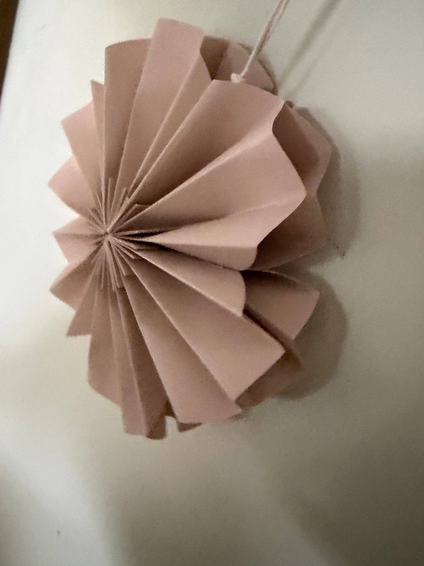 p a p e r | Blume