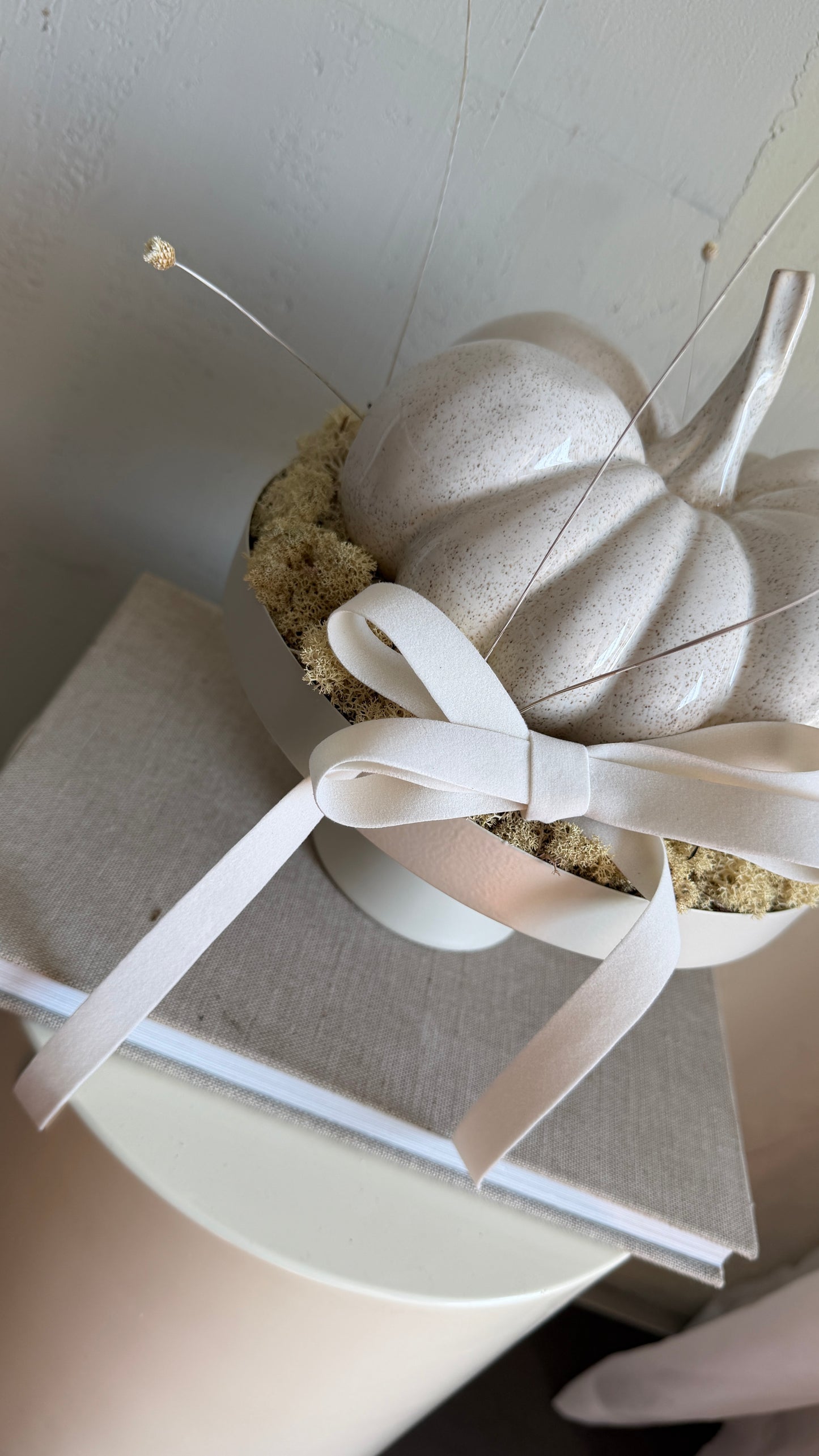 Set | autumn pieces