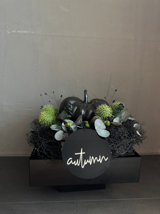 Summer light - black