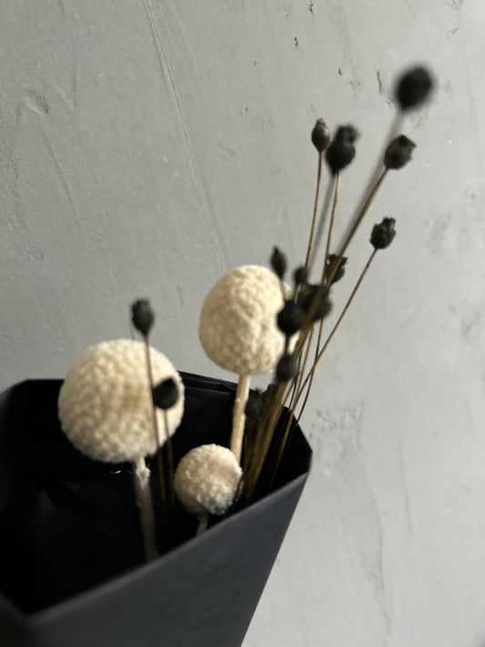 Eucalyptus -black
