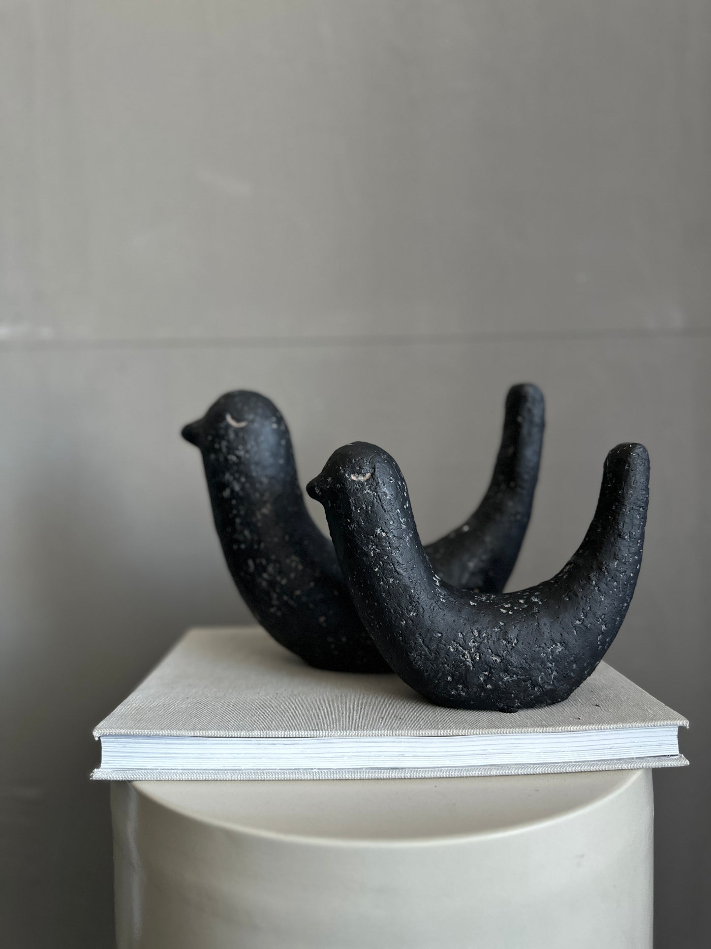 b i r d s.   black & mocha mousse