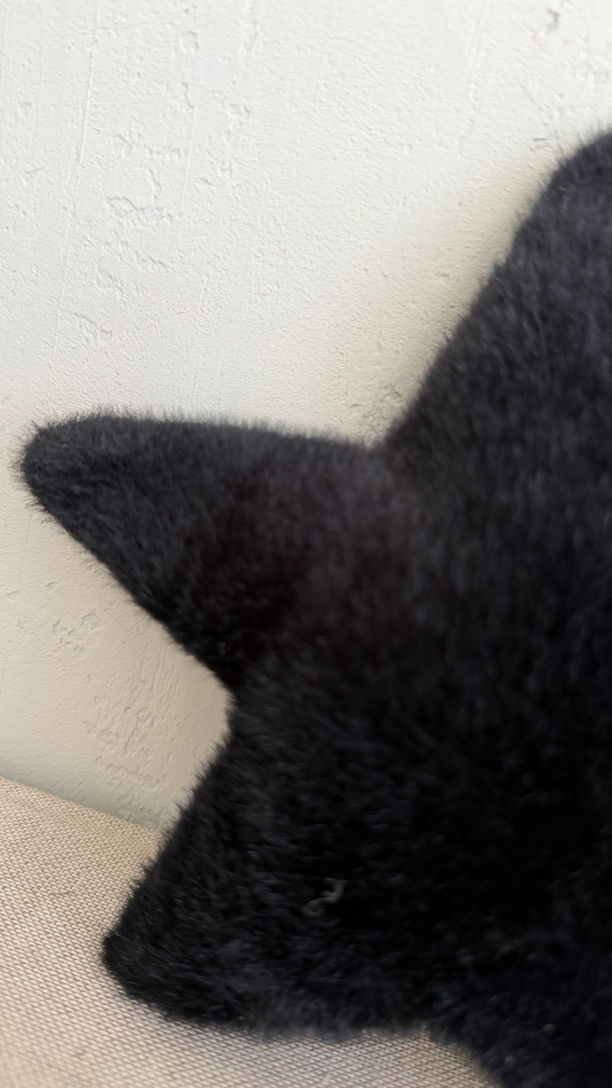 black. fake fur | star