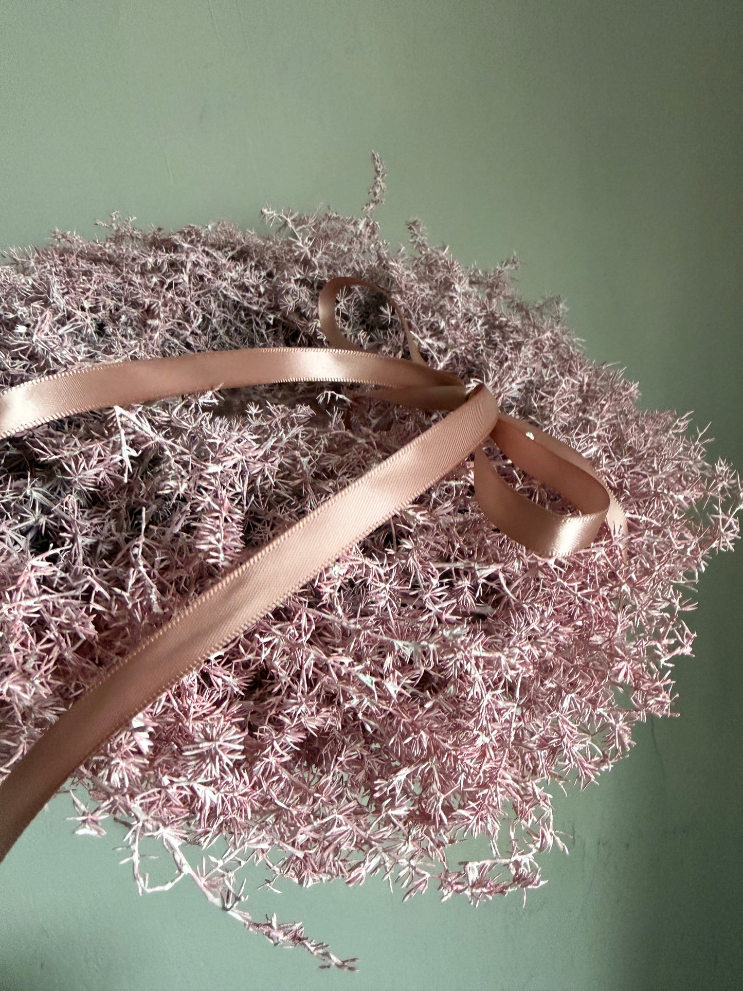 r o s a. | Asparacus