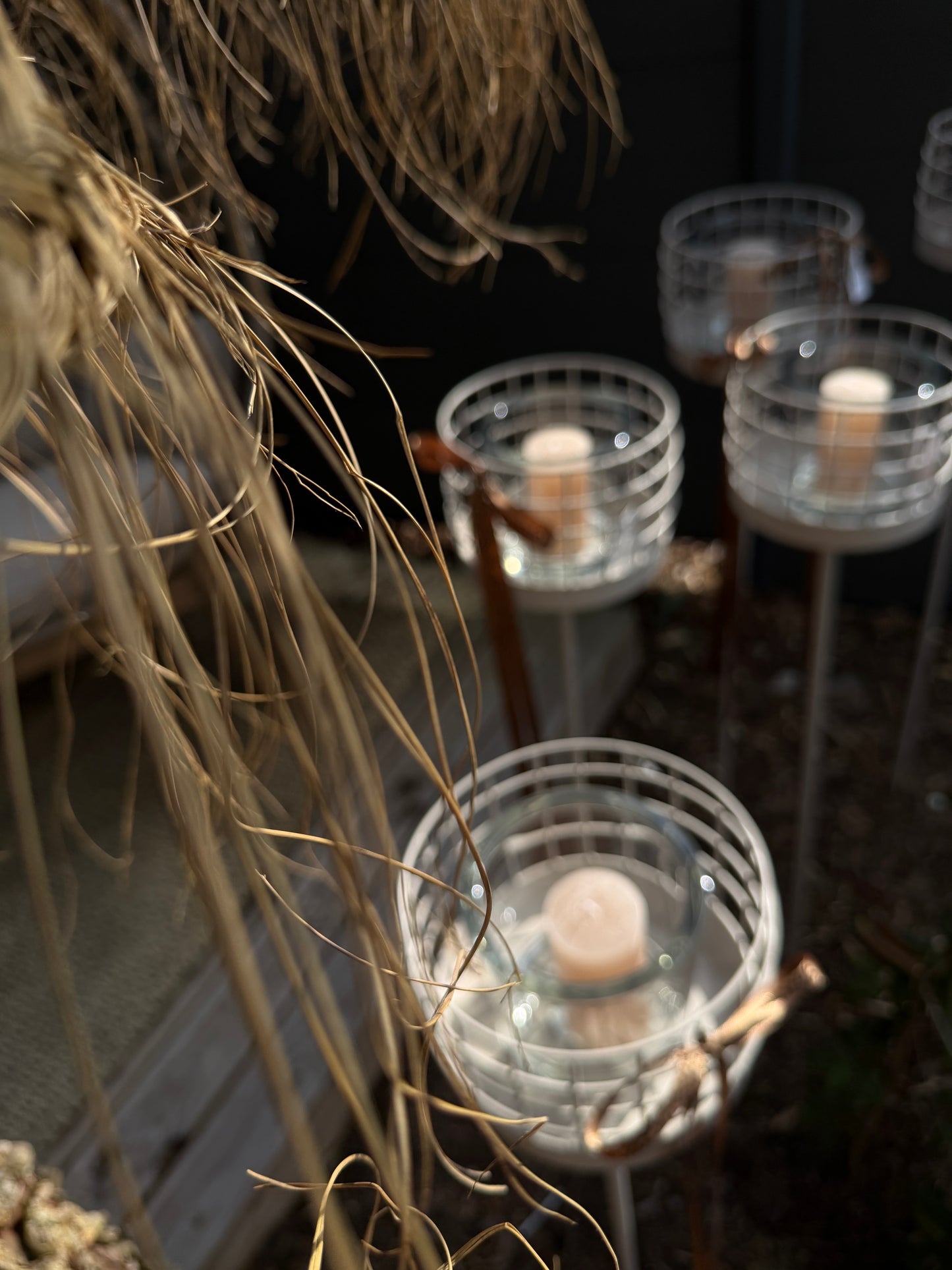 l e o.   outside | light