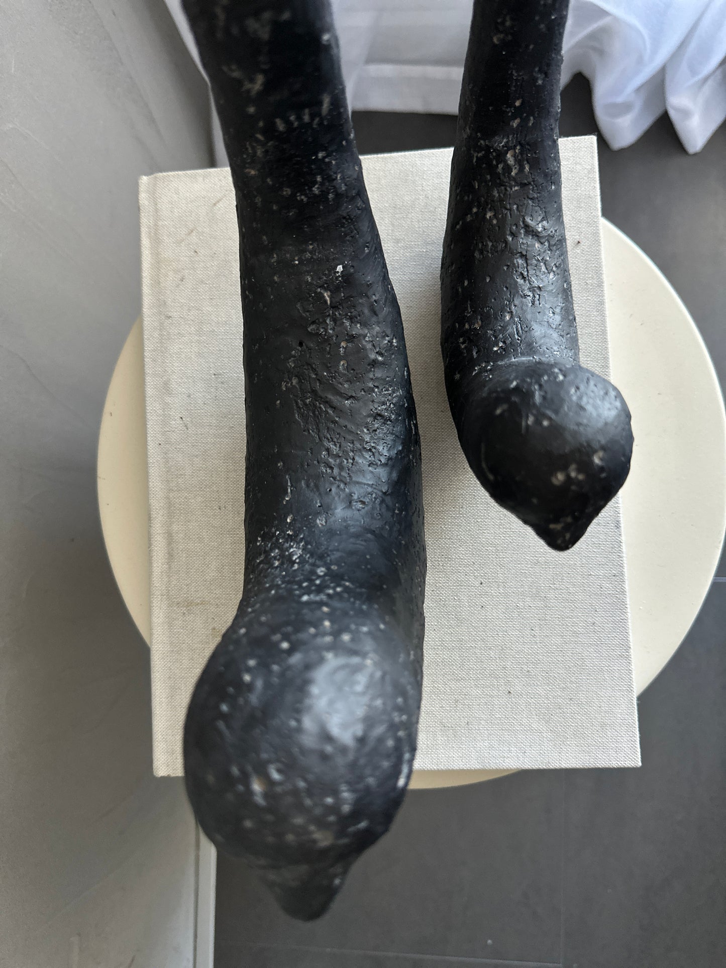 b i r d s.   black & mocha mousse