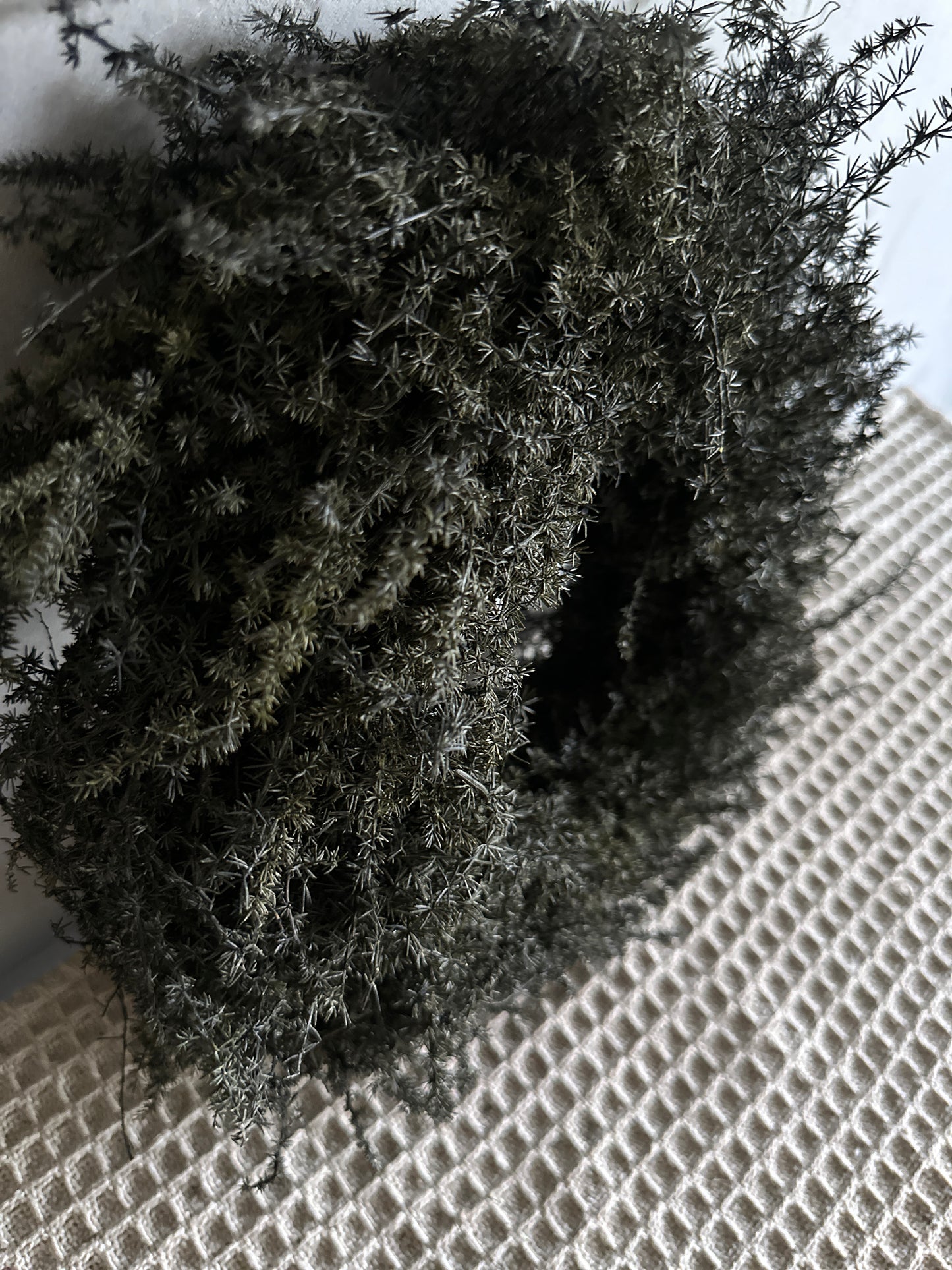 Wreath- black dill