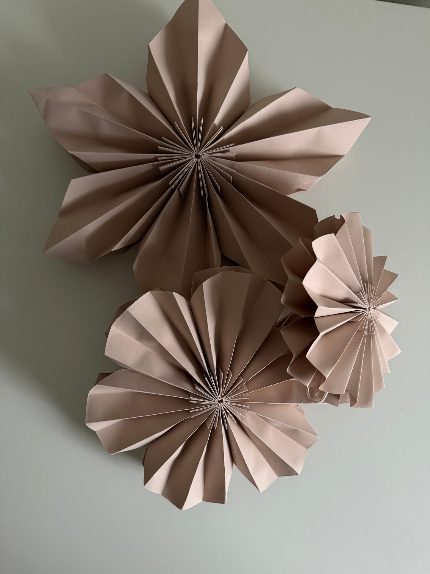 p a p e r | Blume
