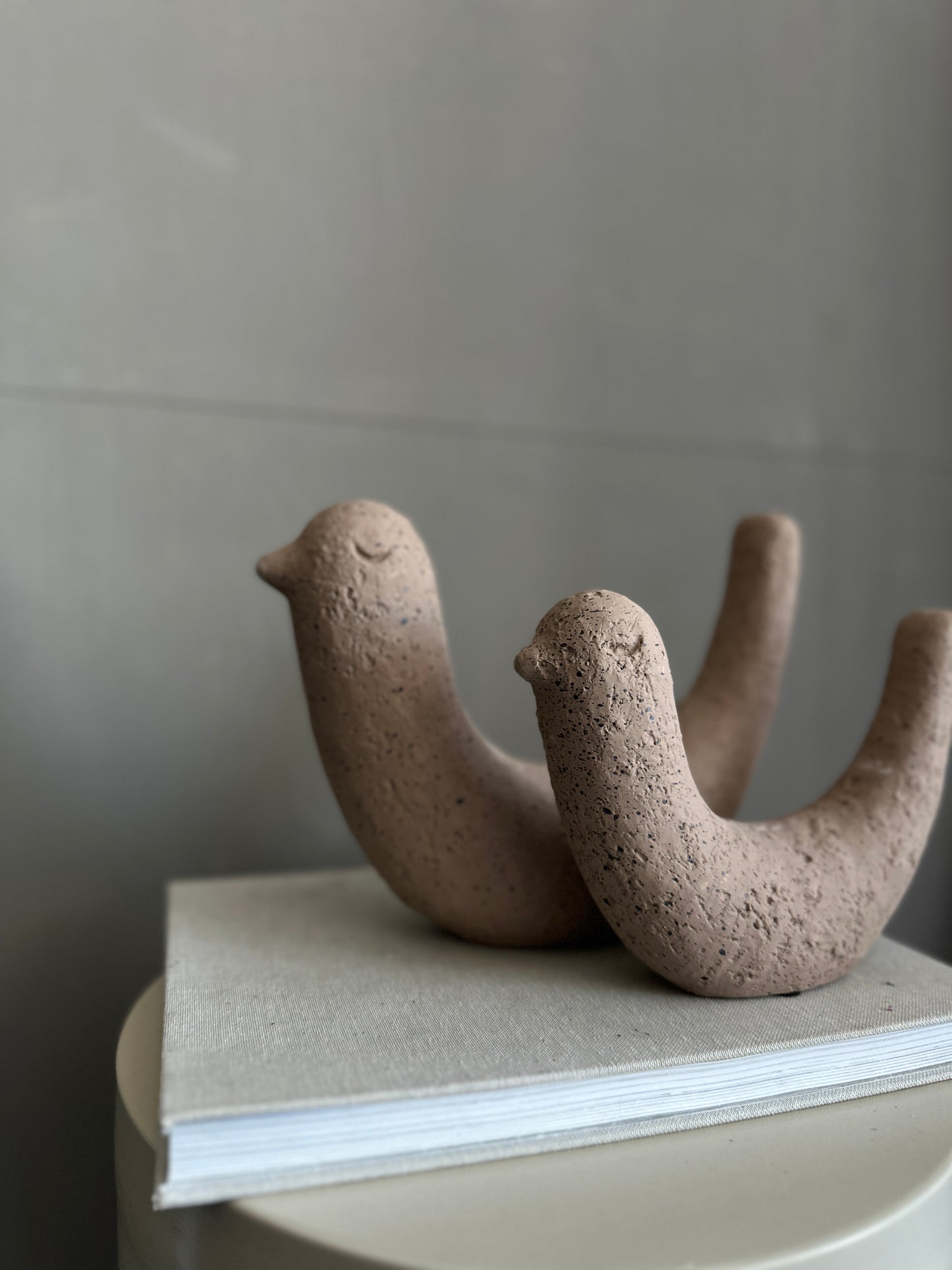 b i r d s.   black & mocha mousse