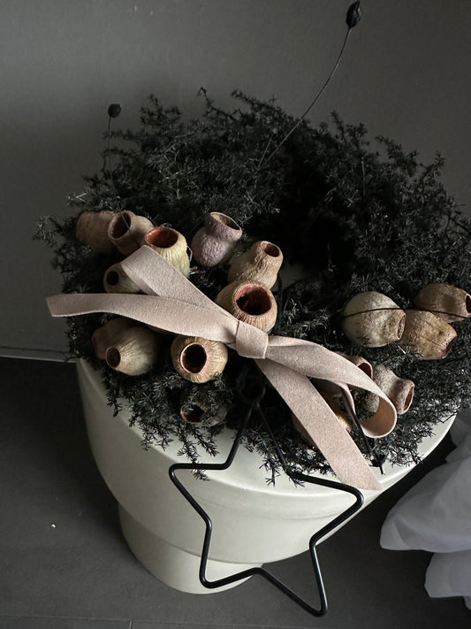 Kranz.  s h a d e s.