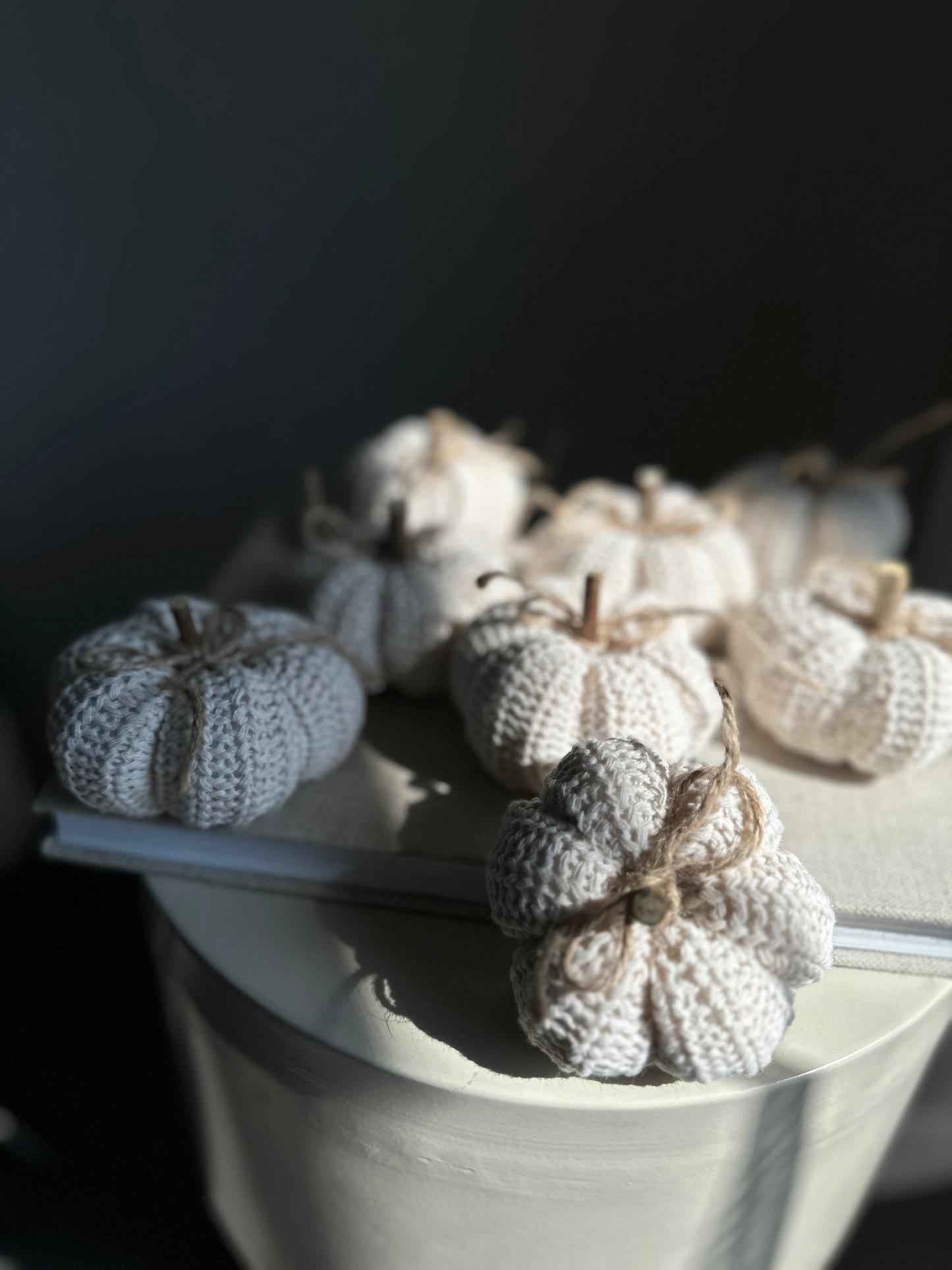 natural -Kürbis mini