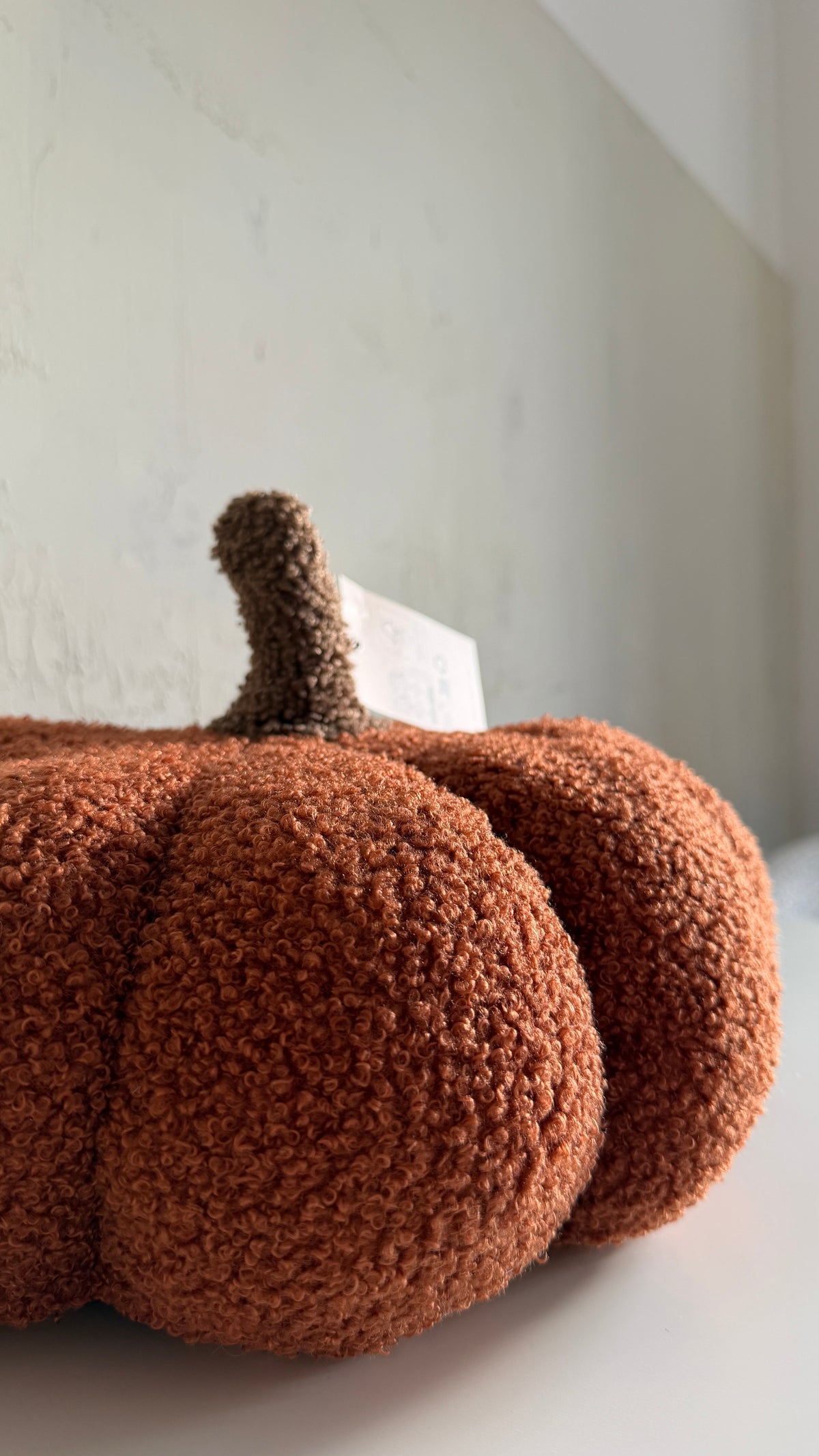 K i s s e n. |pumpkin