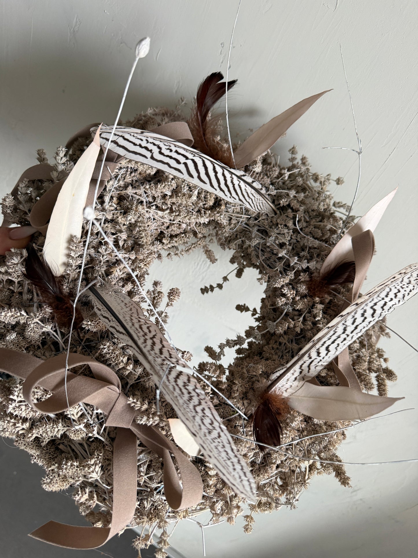 s h a d e s. |spring