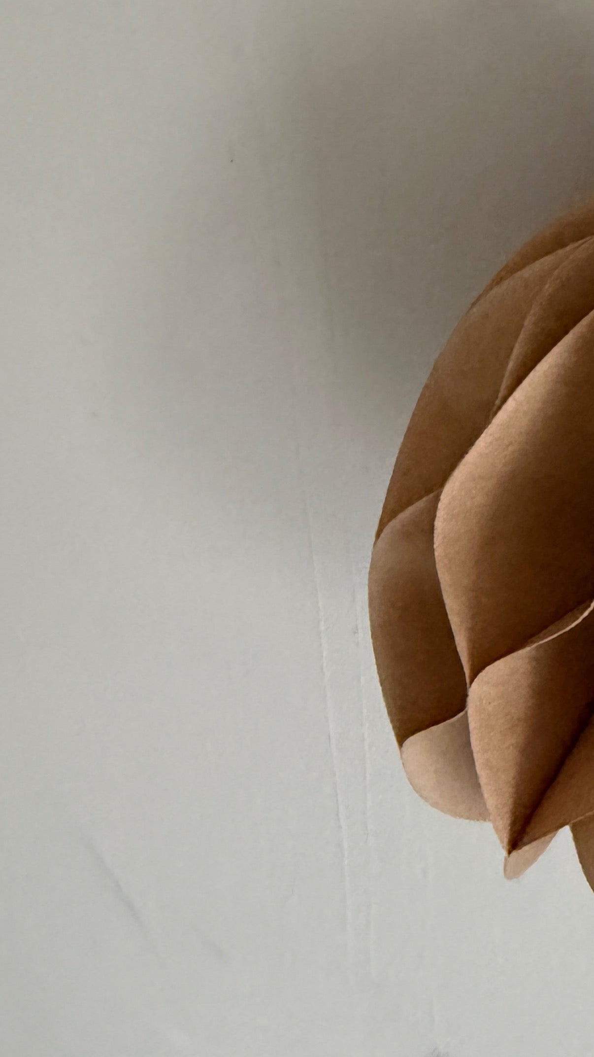 Star wooden beads -black