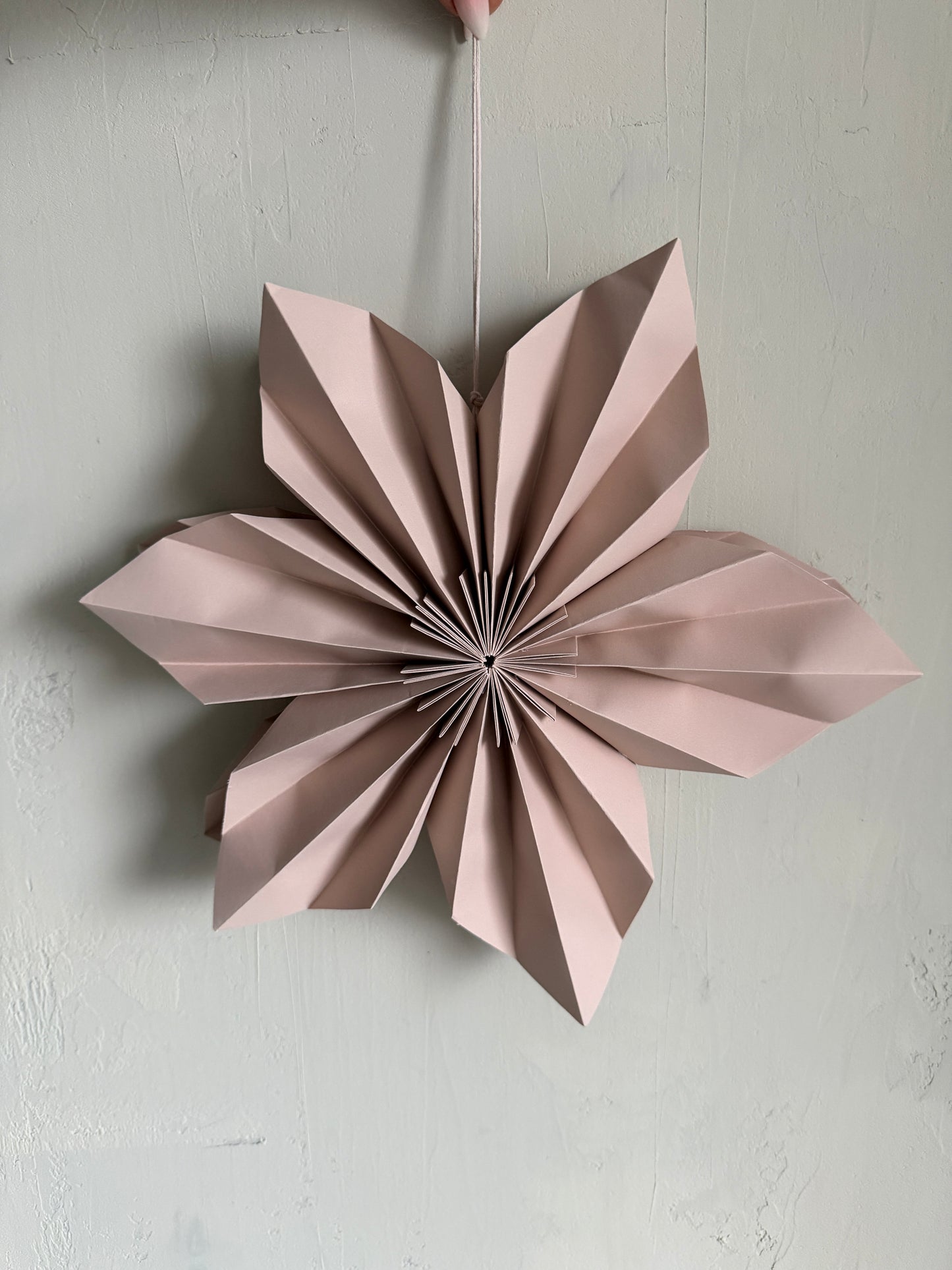p a p e r | Blume