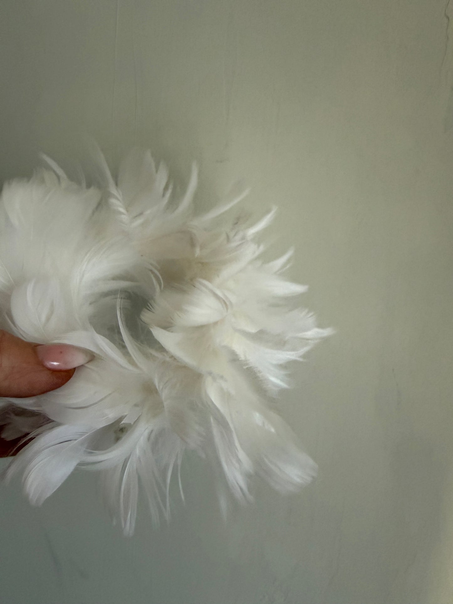 mini. feathers