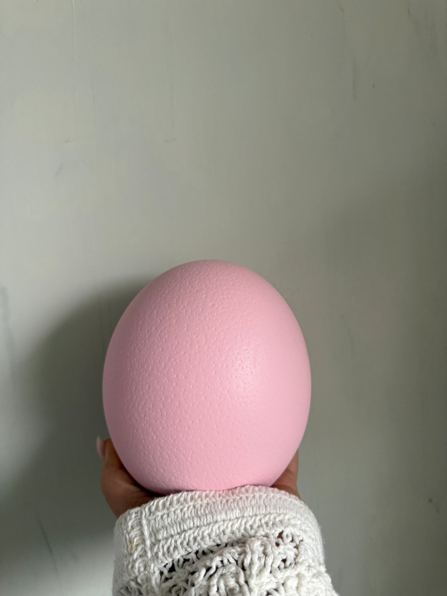 r o s a - Straussenei