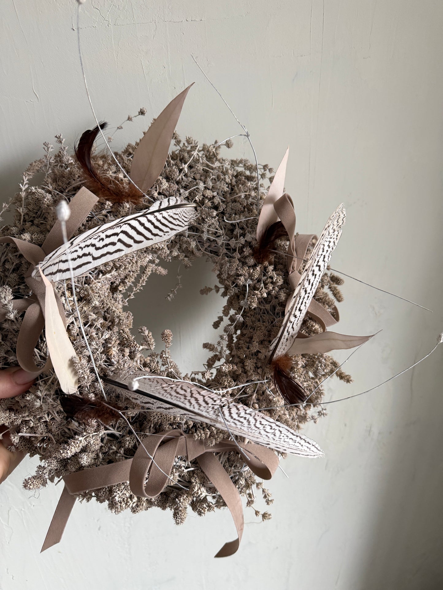 s h a d e s. |spring