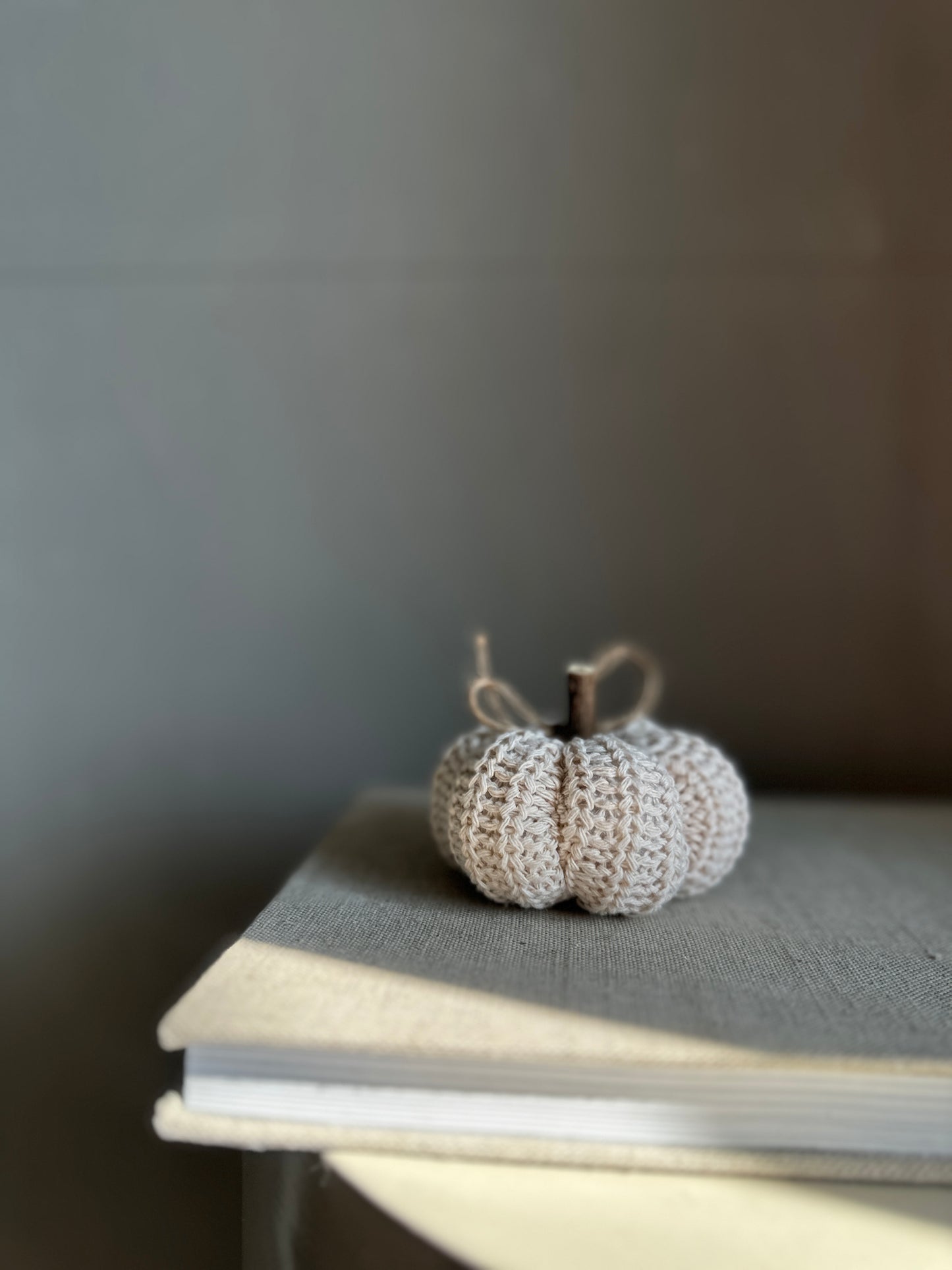 natural -Kürbis mini