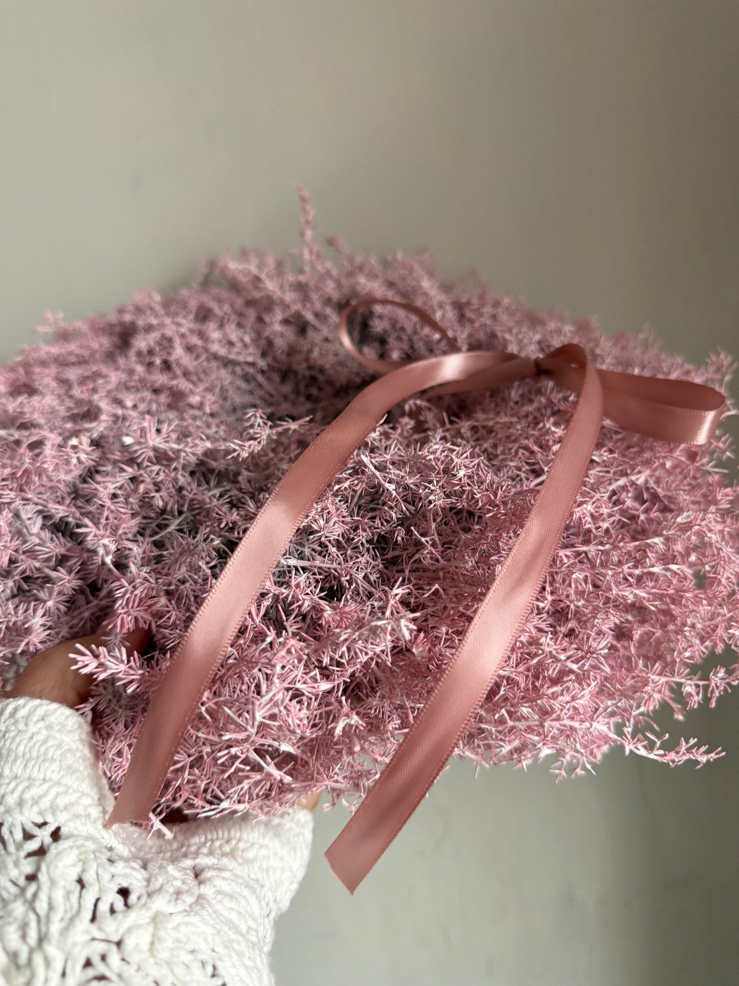 r o s a. | Asparacus