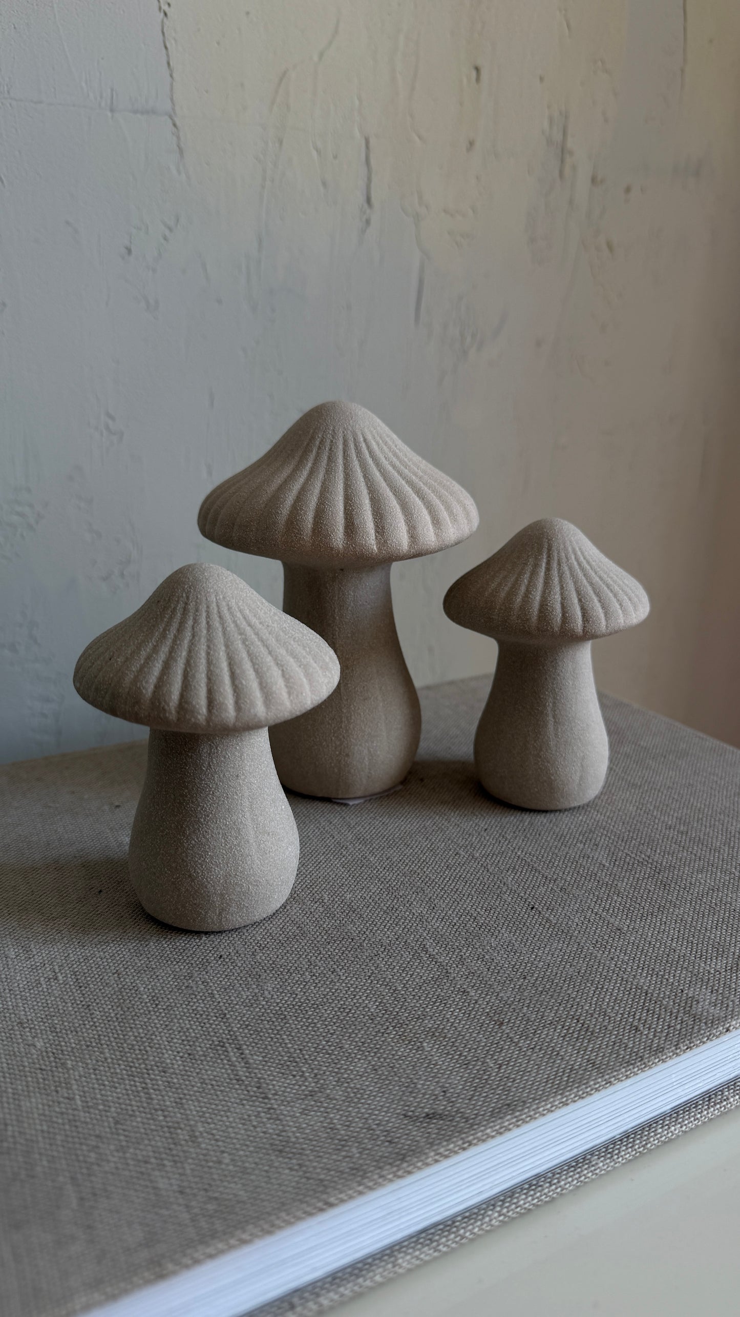 s t o n e | Pilz