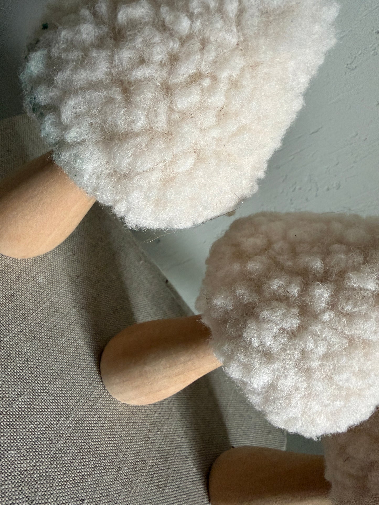 Teddy| Pilz