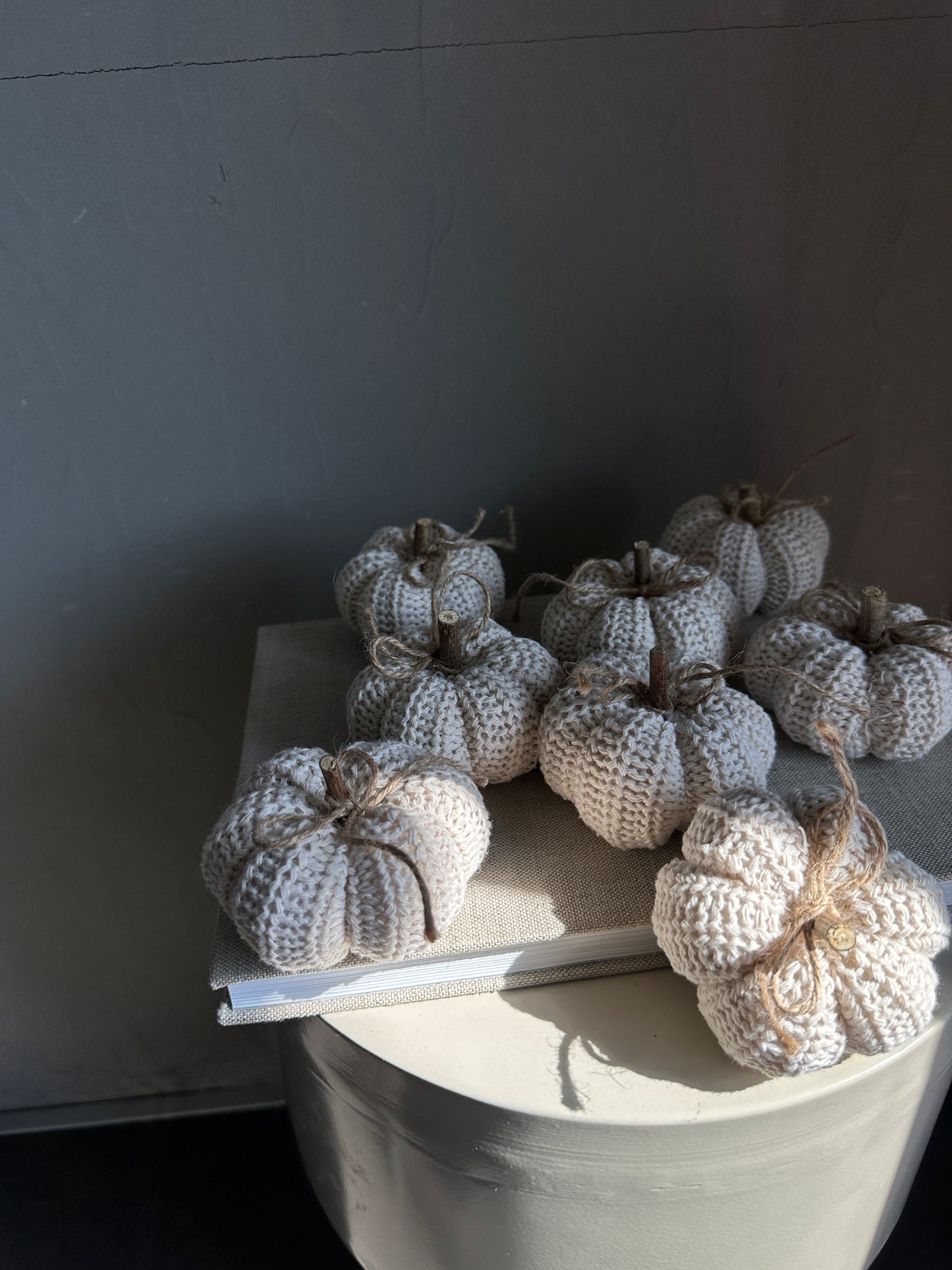 natural -Kürbis mini