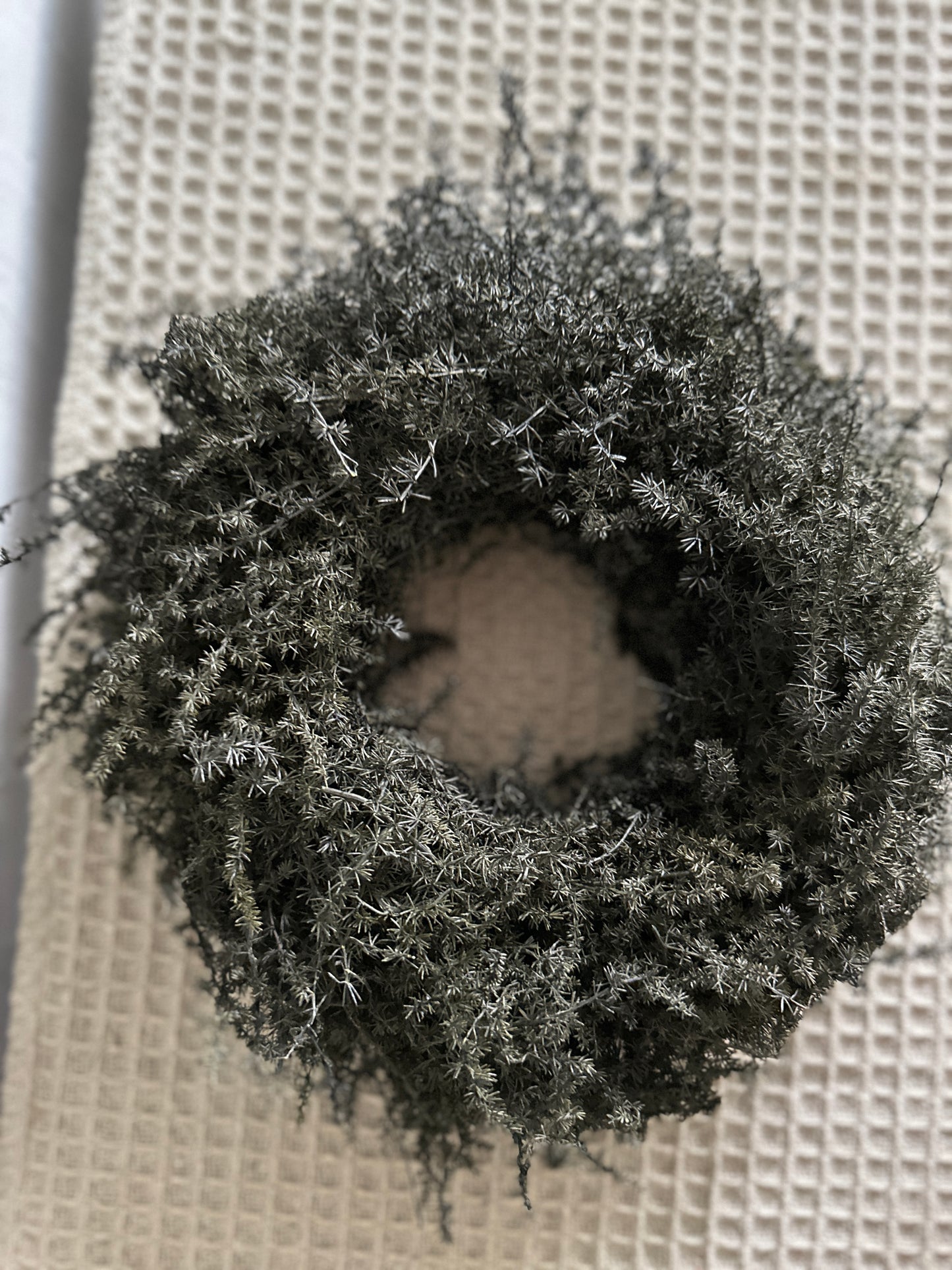 Wreath- black dill