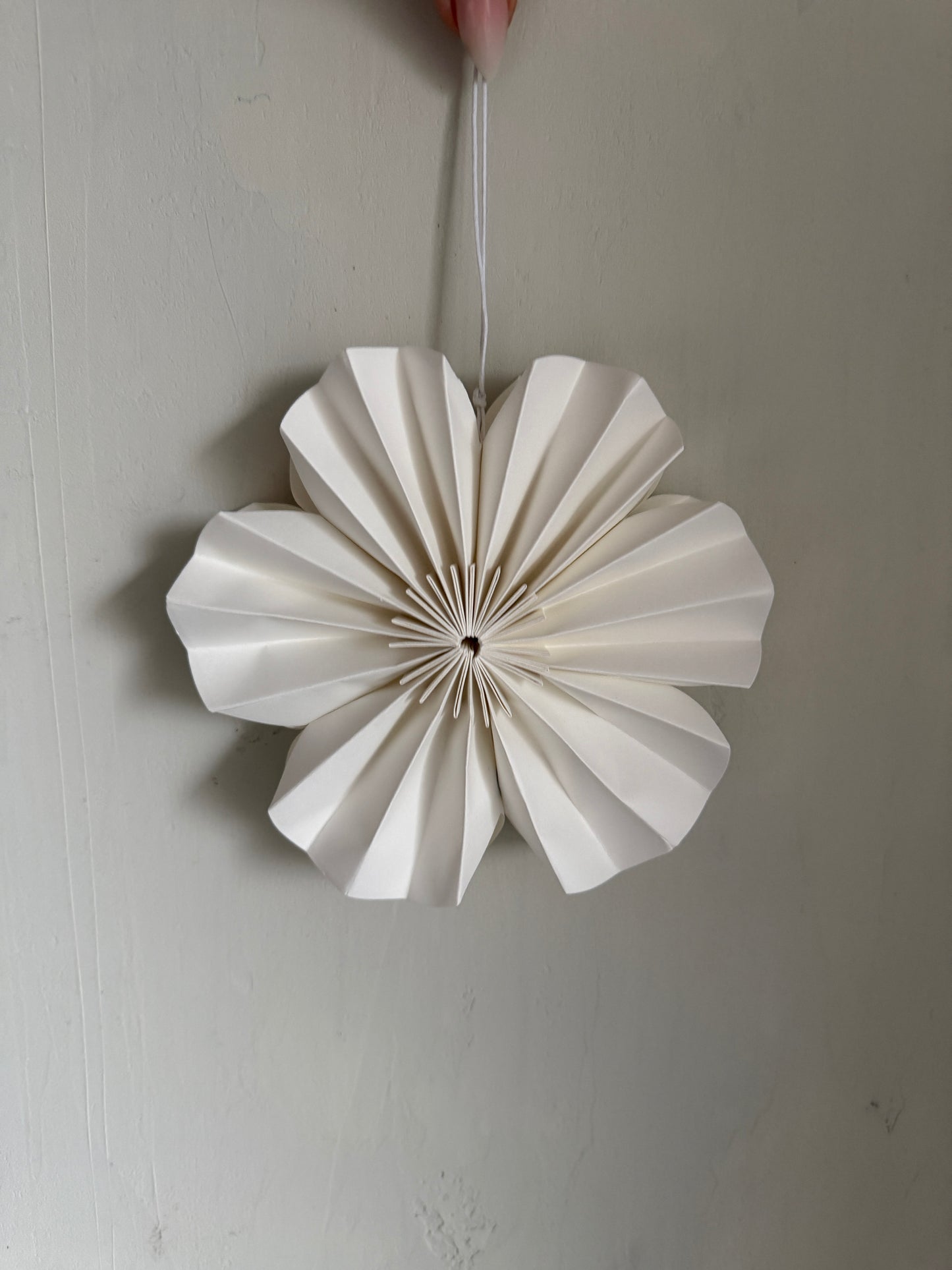 p a p e r | Blume