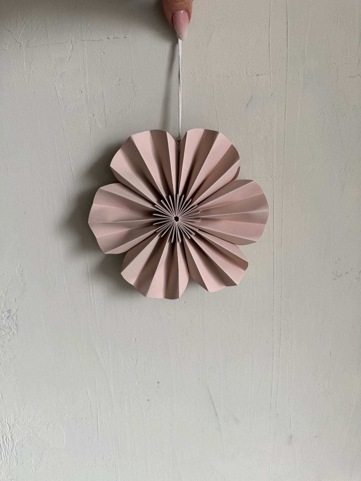 p a p e r | Blume