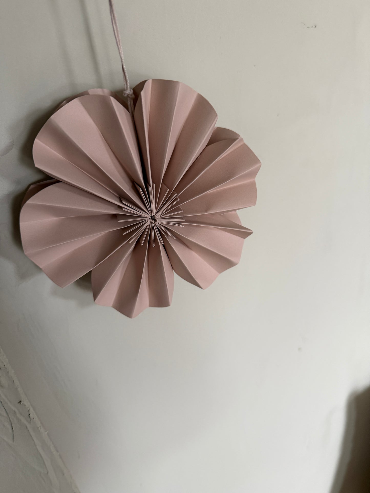 p a p e r | Blume