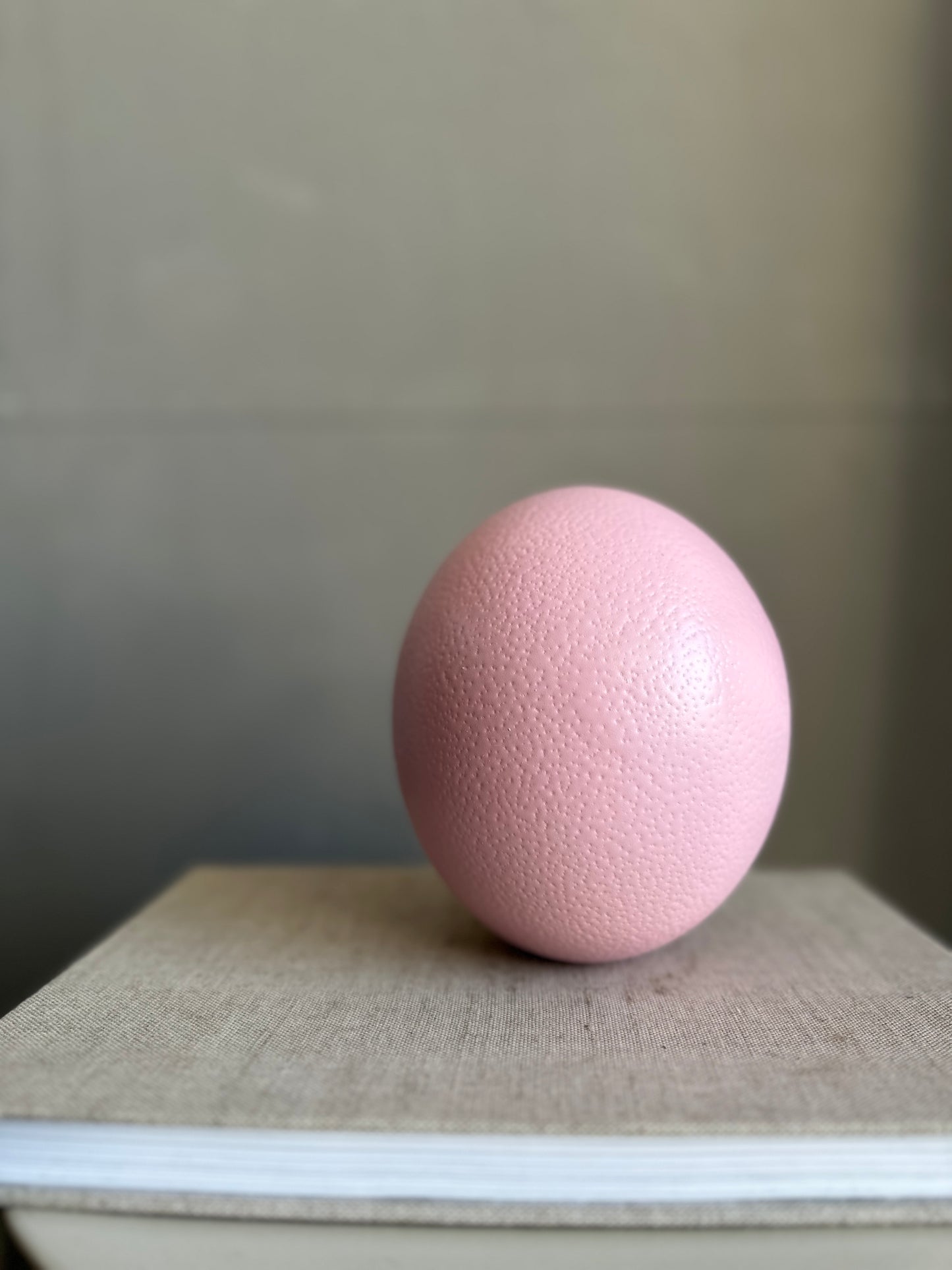 r o s a - Straussenei