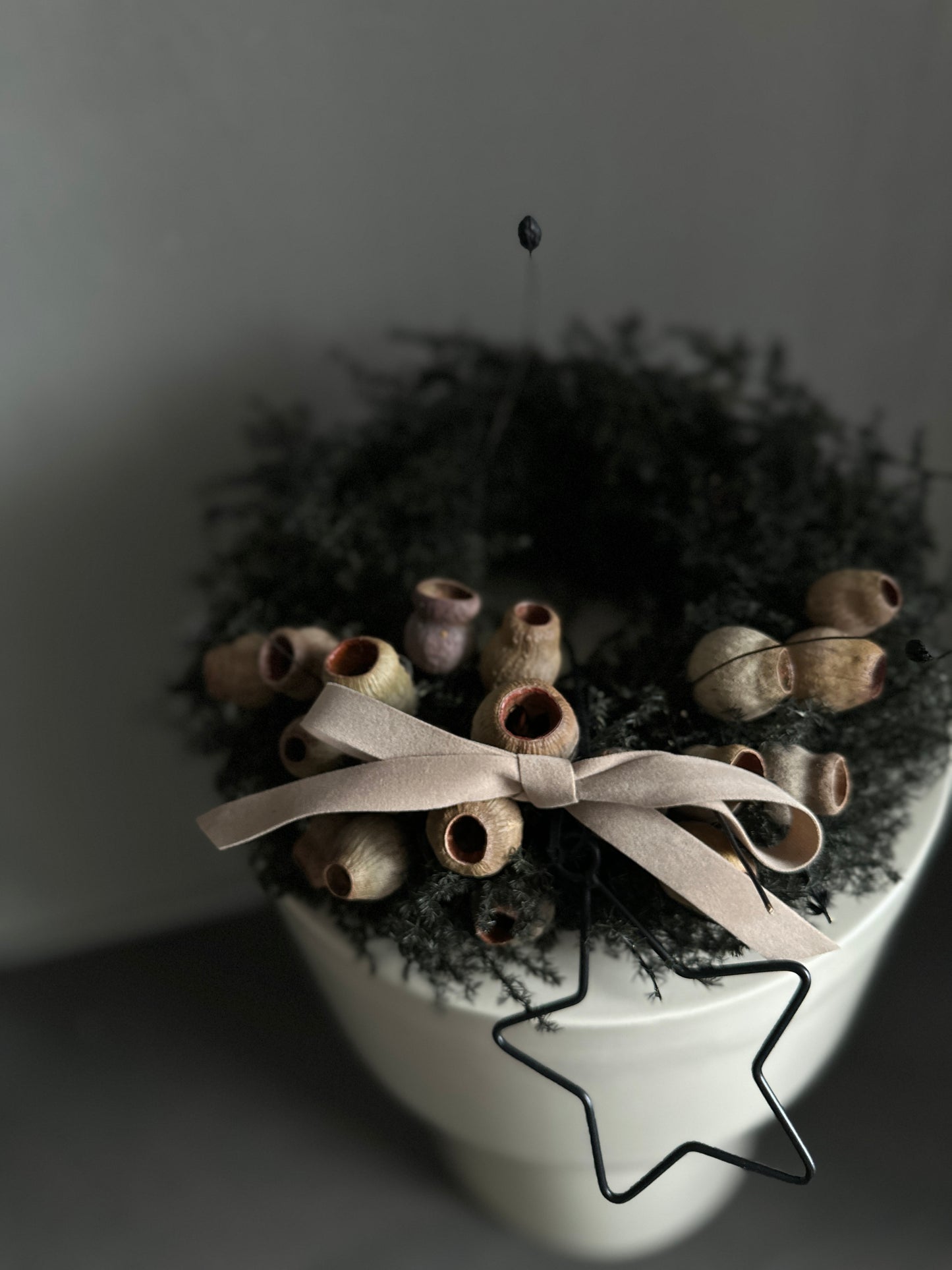 Kranz.  s h a d e s.