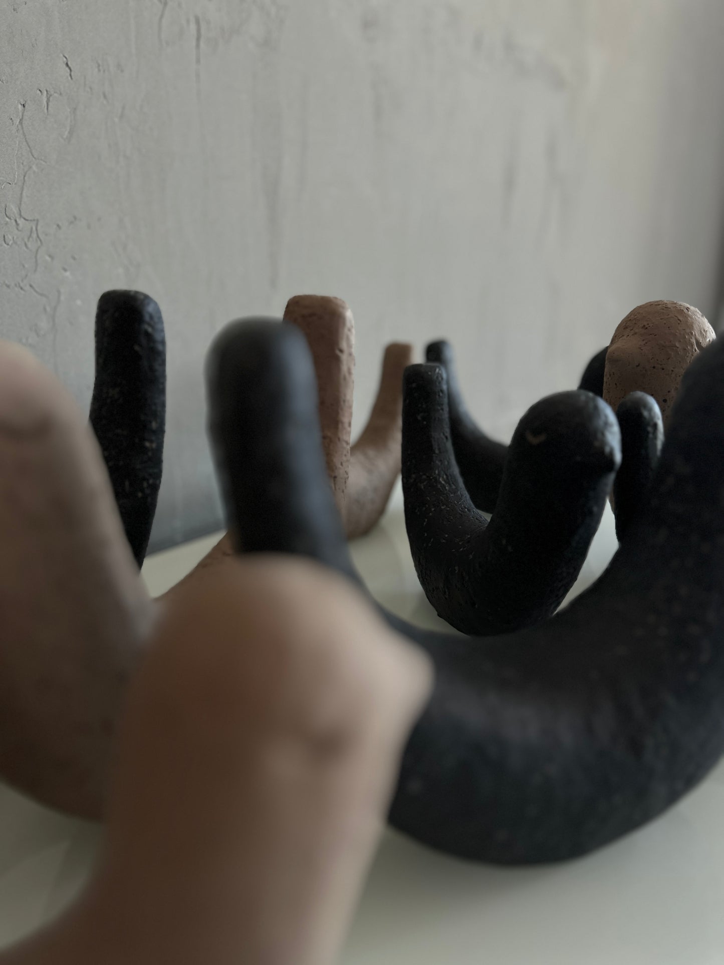 b i r d s.   black & mocha mousse