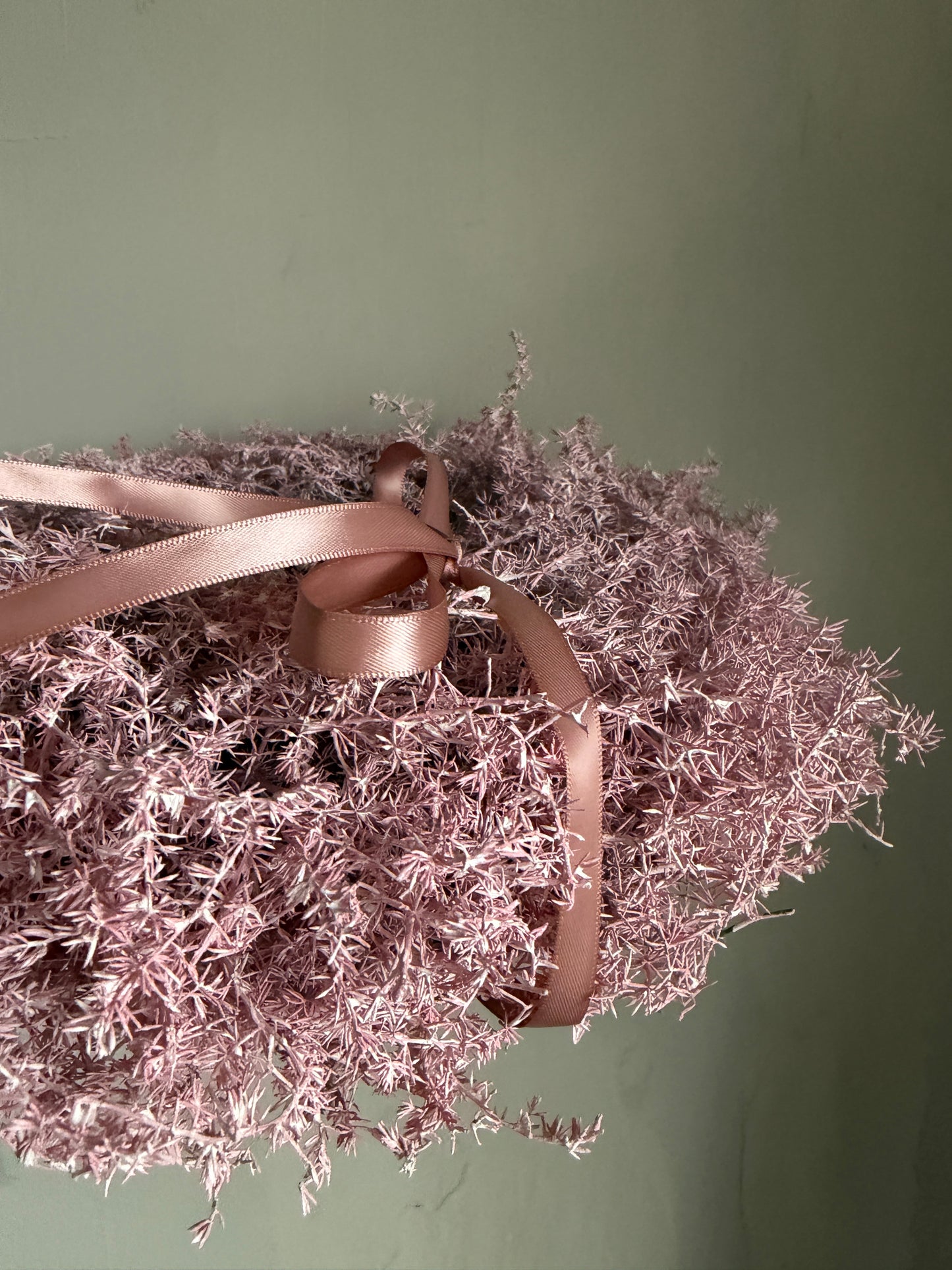 r o s a. | Asparacus