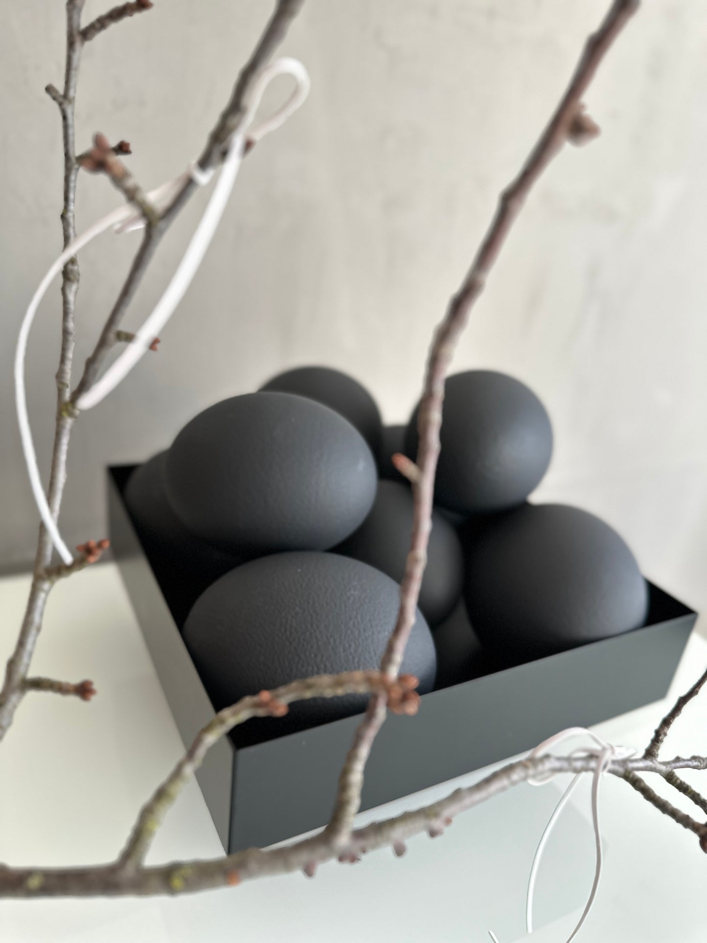 Straussenei -schwarz/matt echt