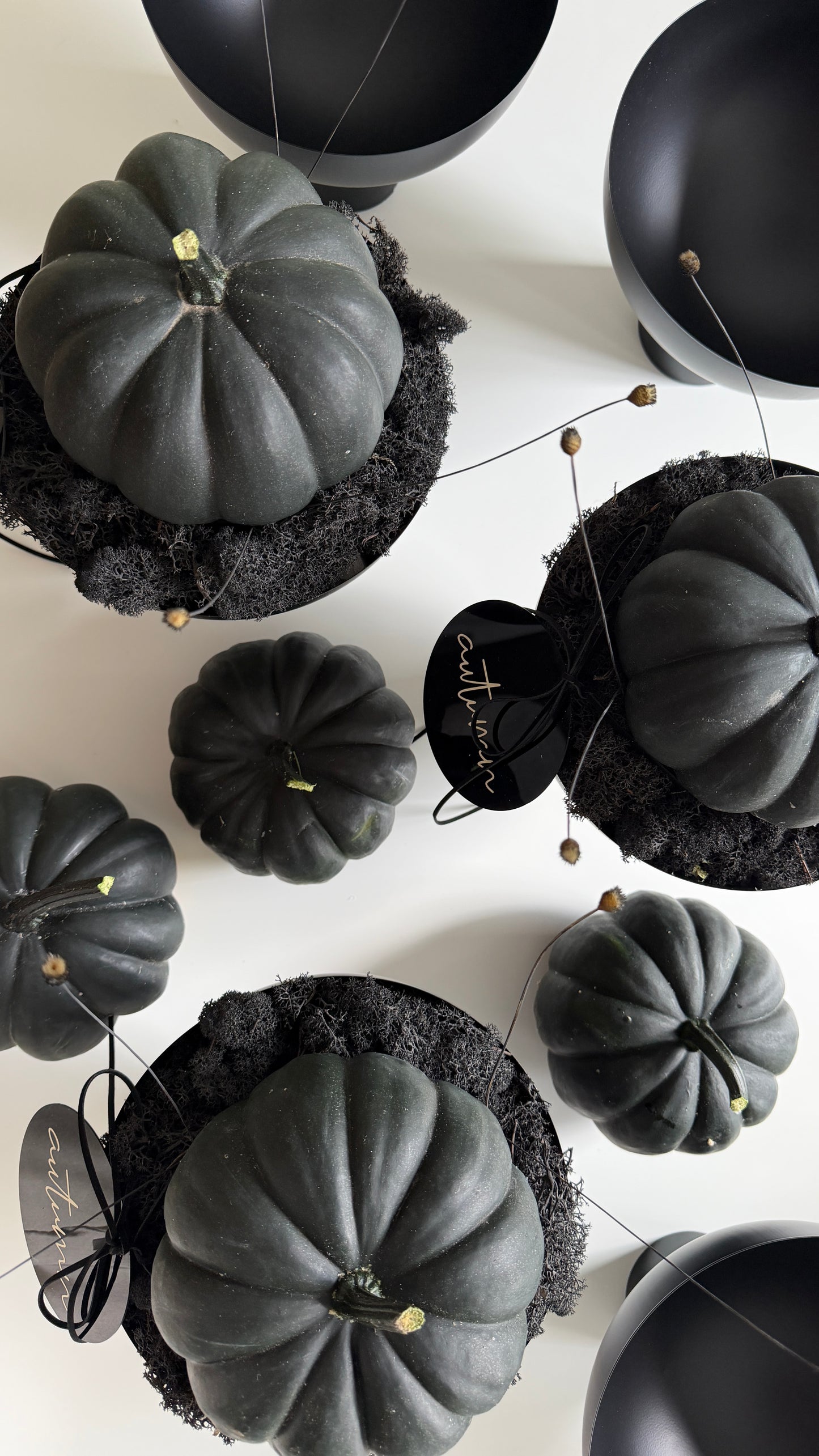 autumn | black