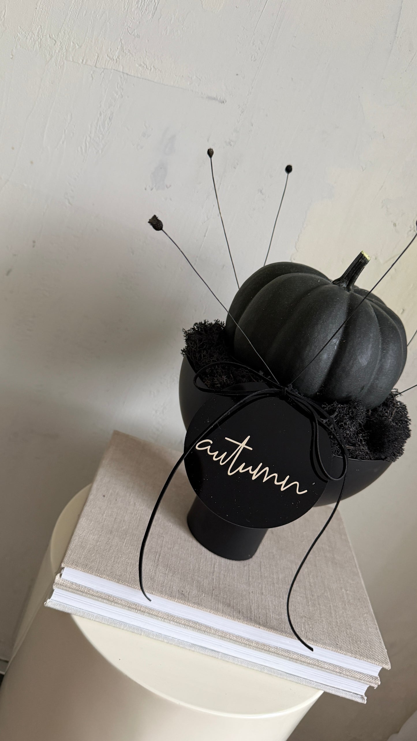 a u t u m n | black or white