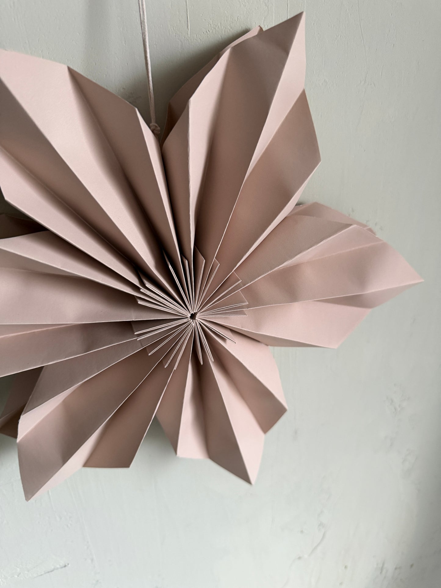 p a p e r | Blume