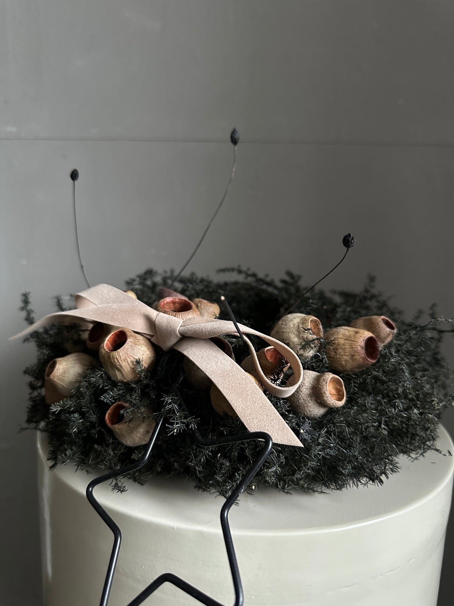 Kranz.  s h a d e s.