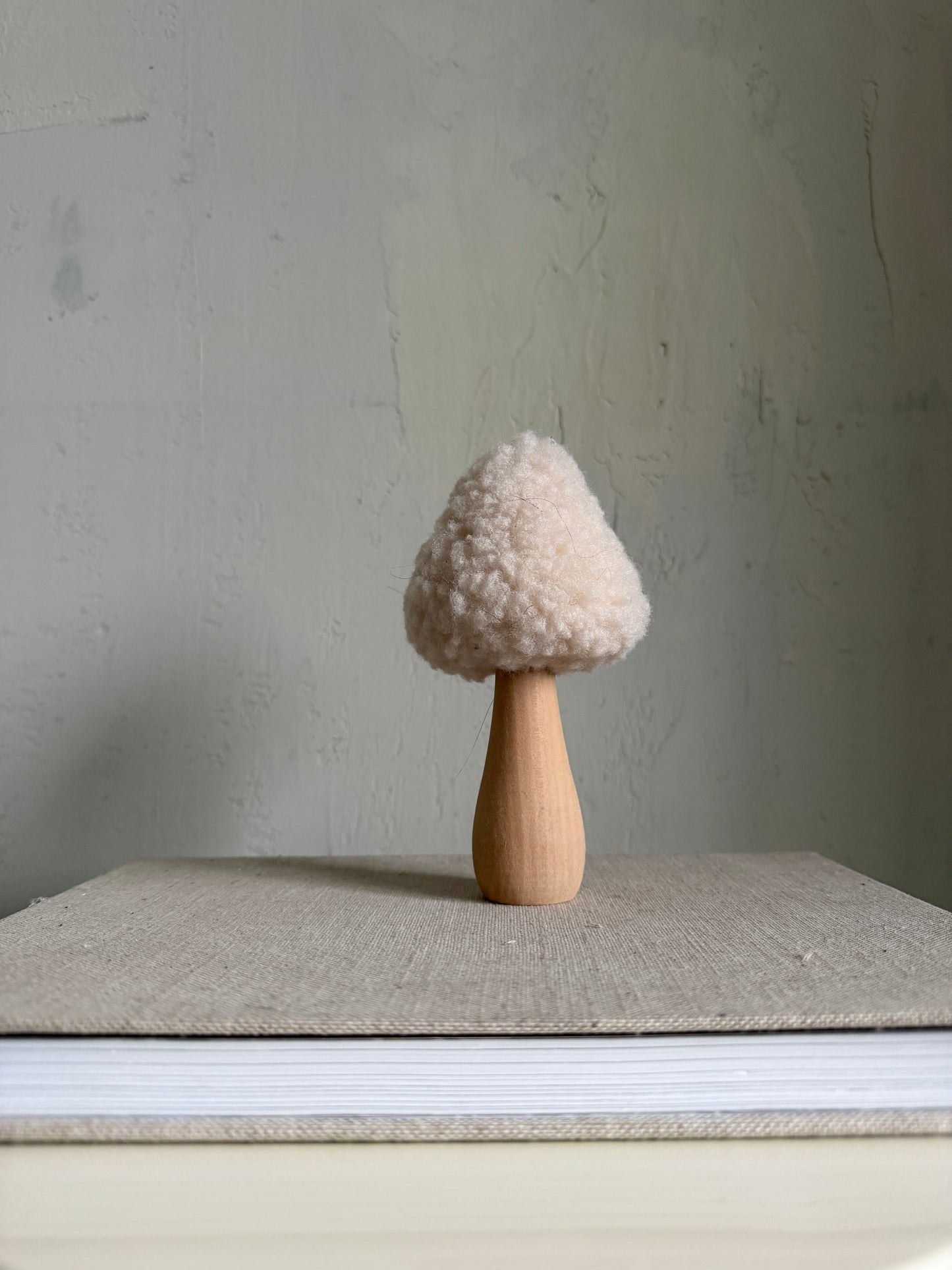 Teddy| Pilz
